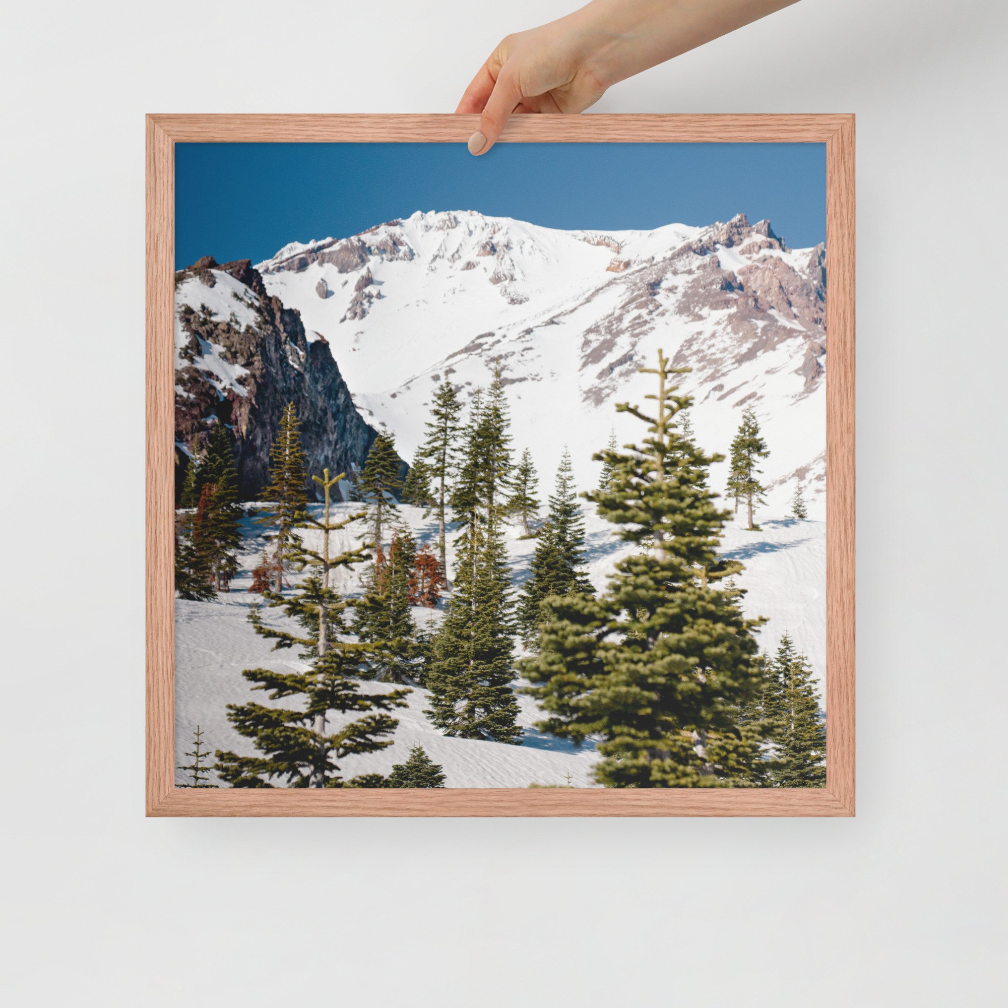 enhanced-matte-paper-framed-poster-(in)-red-oak-18x18-front-636aa944c408d.jpg
