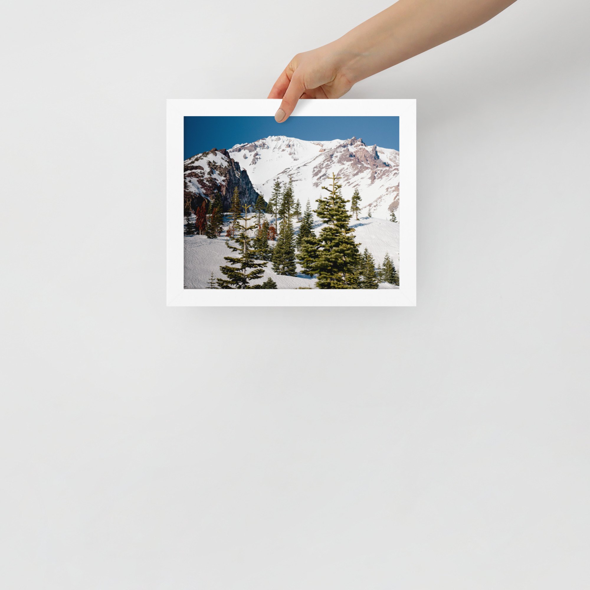 enhanced-matte-paper-framed-poster-(in)-white-8x10-front-636aa944c426f.jpg