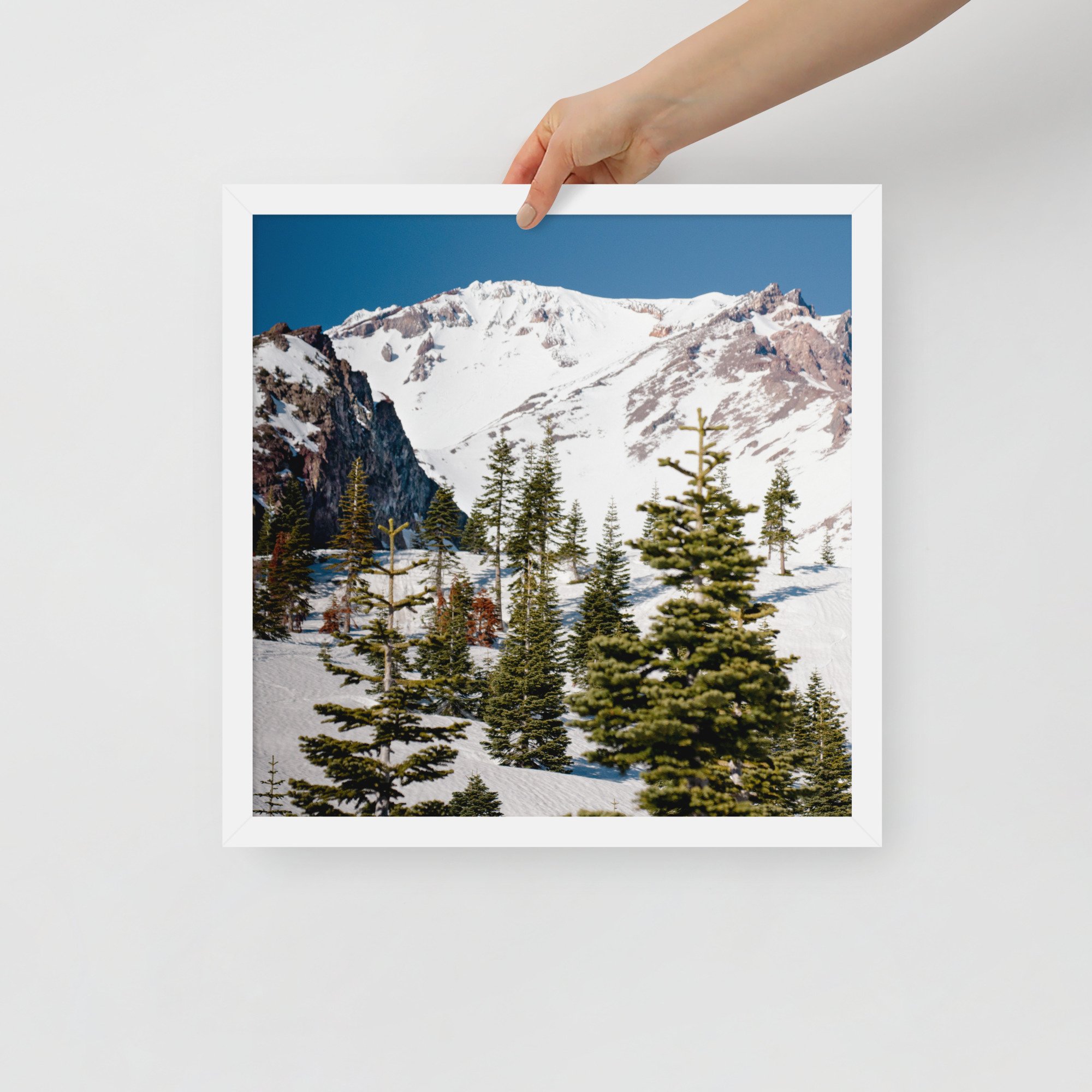 enhanced-matte-paper-framed-poster-(in)-white-16x16-front-636aa944c4769.jpg