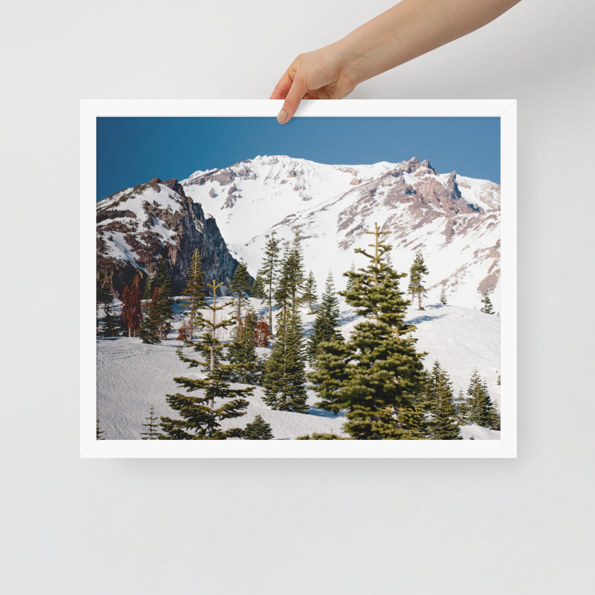 enhanced-matte-paper-framed-poster-(in)-white-16x20-front-636aa944c480d.jpg