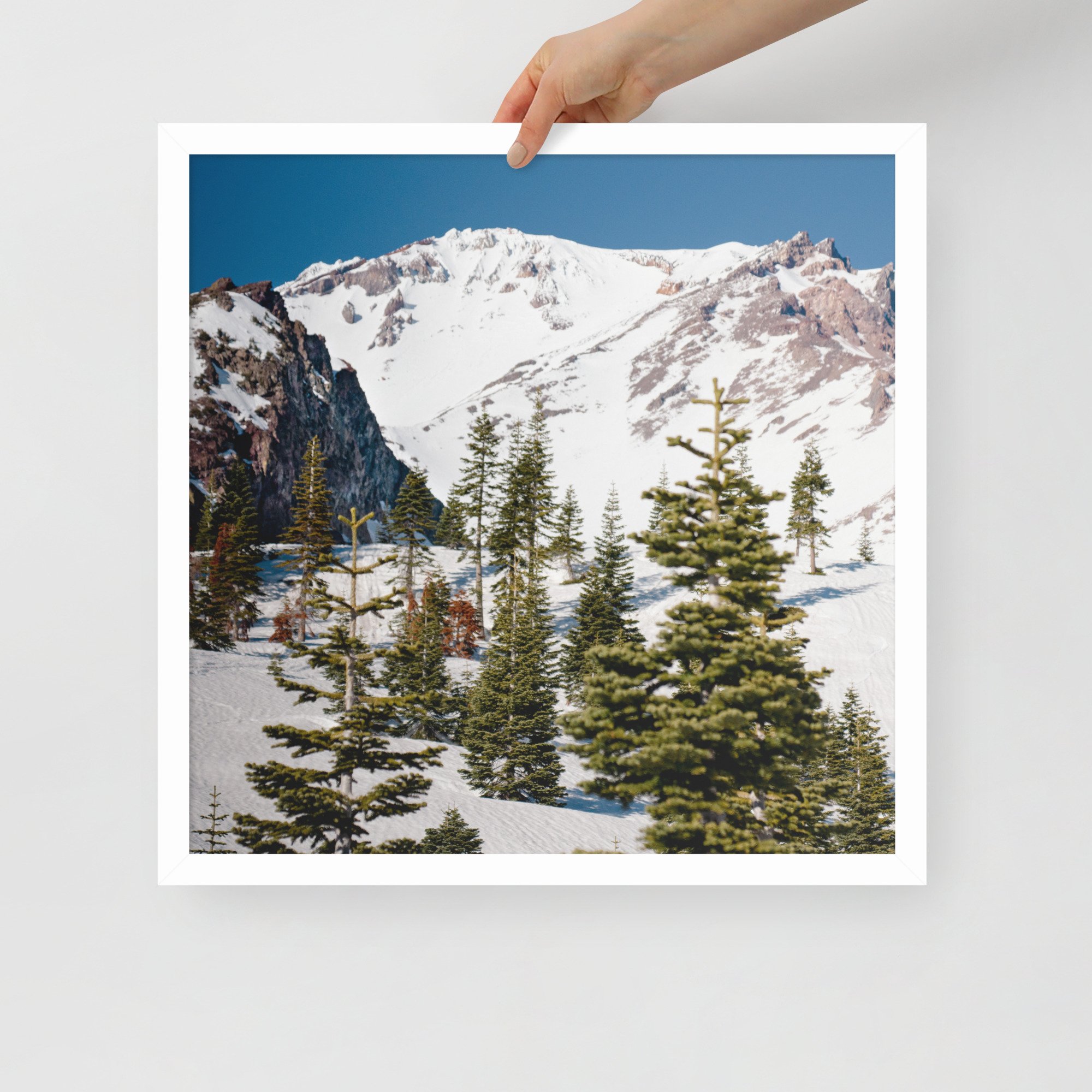 enhanced-matte-paper-framed-poster-(in)-white-18x18-front-636aa944c48a5.jpg