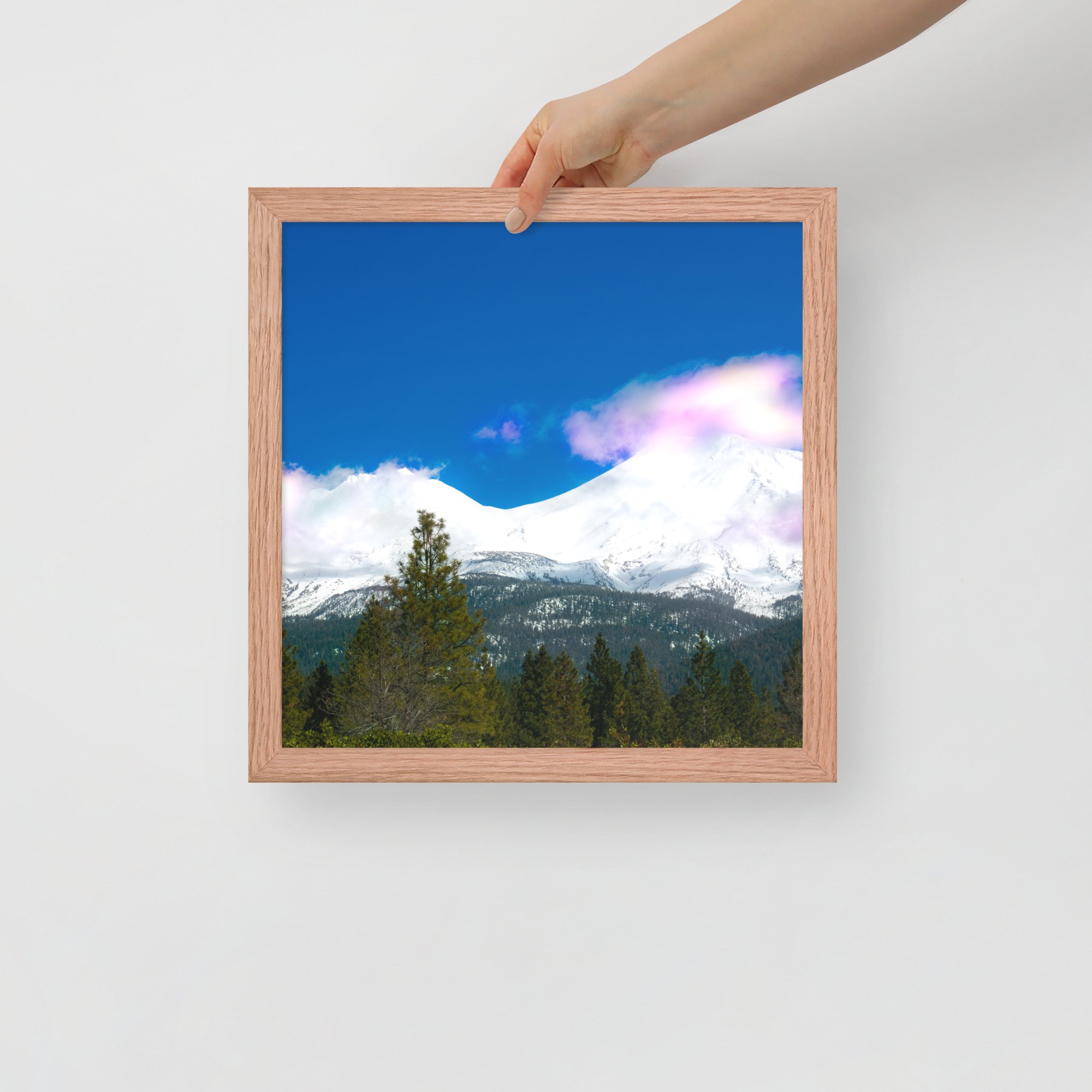 enhanced-matte-paper-framed-poster-(in)-red-oak-14x14-front-636aabd4bfba2.jpg