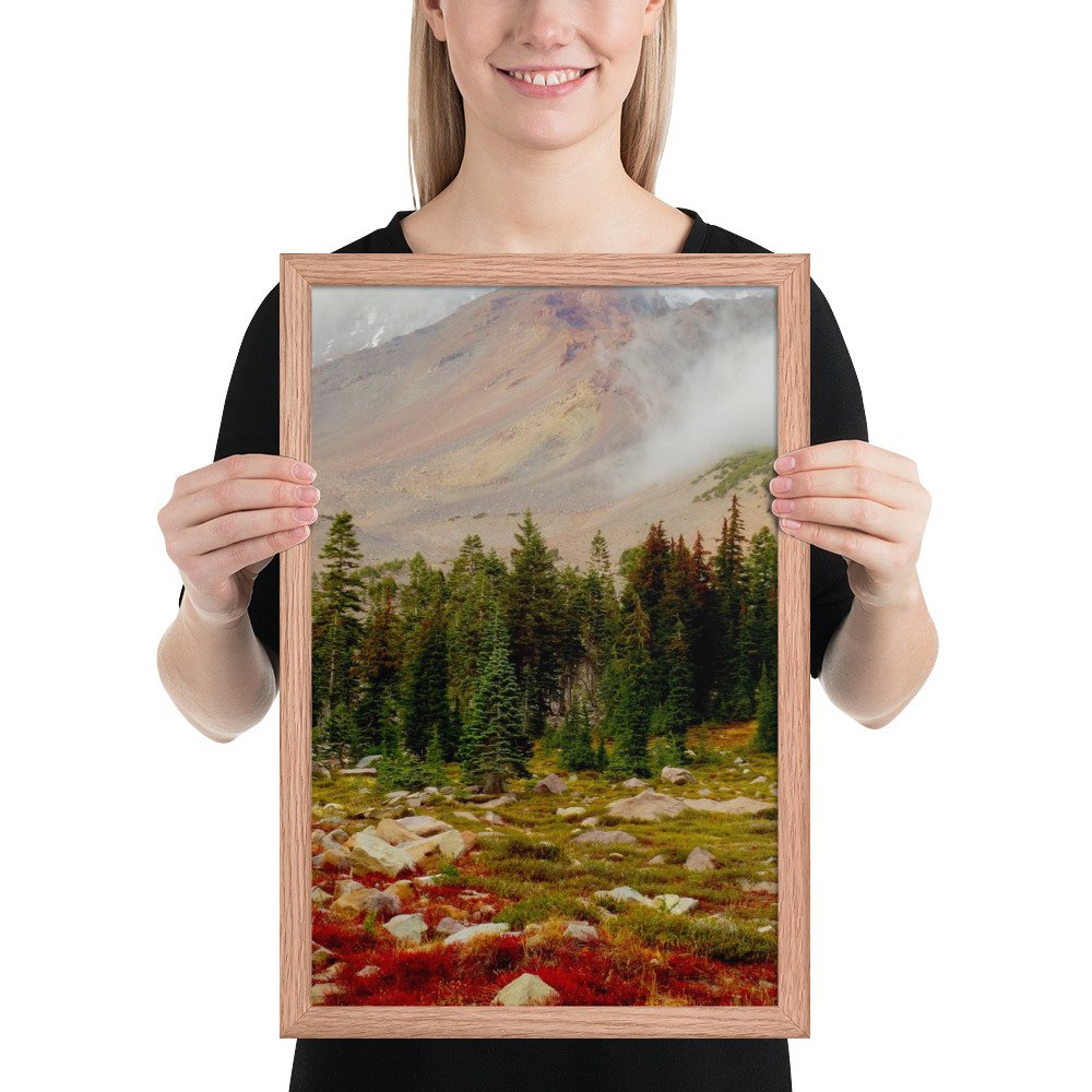 enhanced-matte-paper-framed-poster-(in)-red-oak-12x18-person-636d561b232f0.jpg