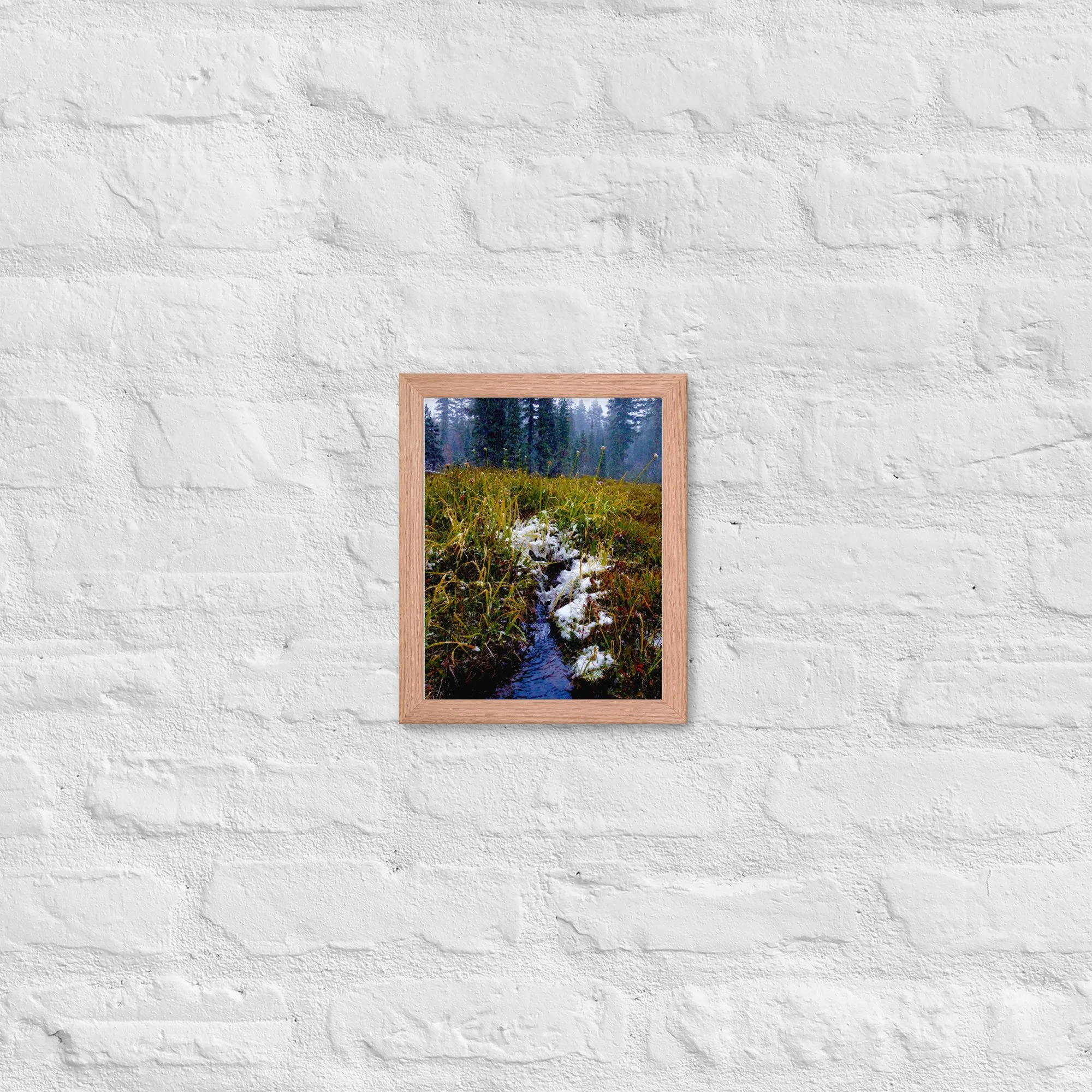 premium-luster-photo-paper-framed-poster-(in)-red-oak-8x10-front-637d235899791.jpg