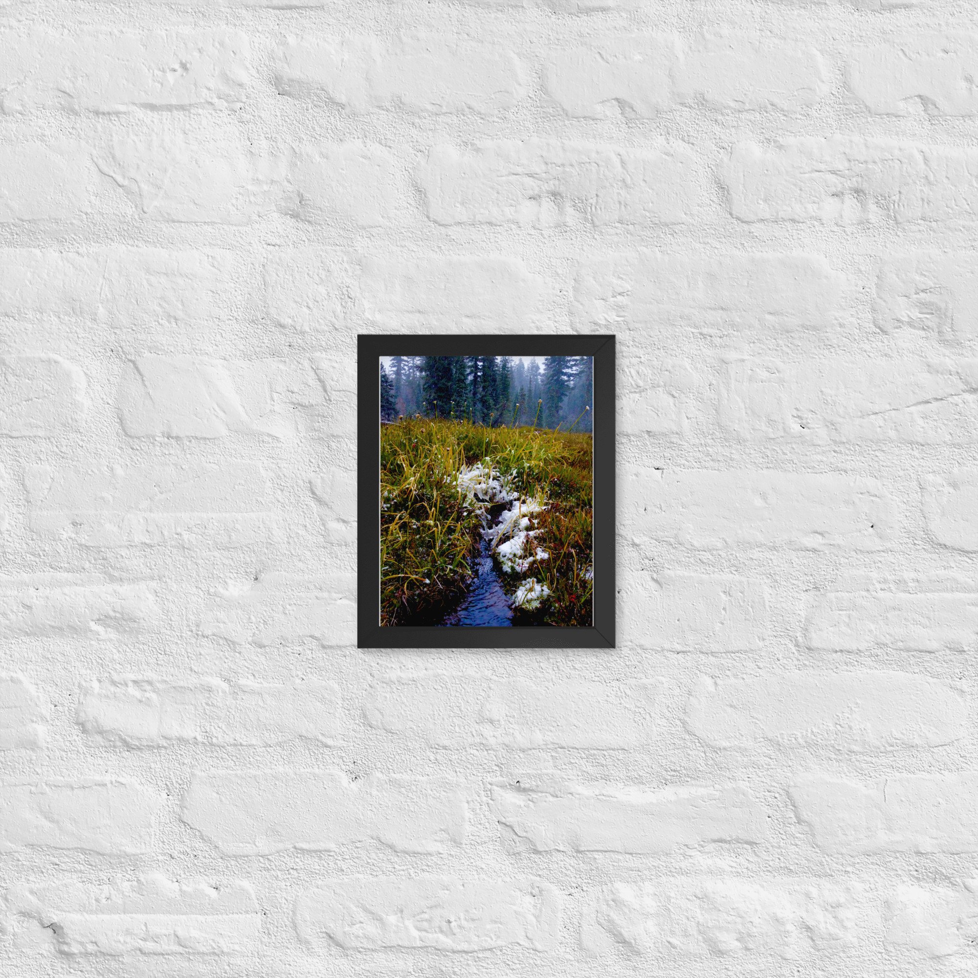premium-luster-photo-paper-framed-poster-(in)-black-8x10-front-637d23b68a9ef.jpg