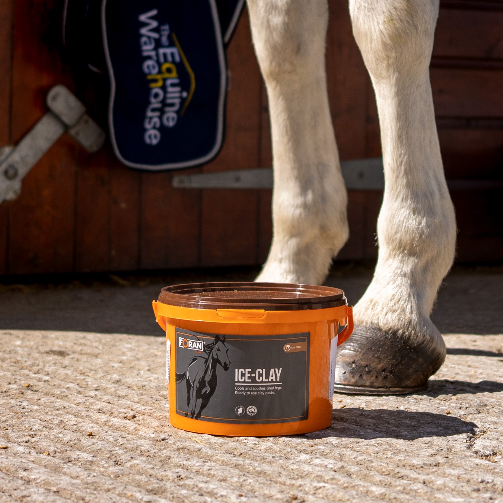 foran-equine-ice-clay.jpg