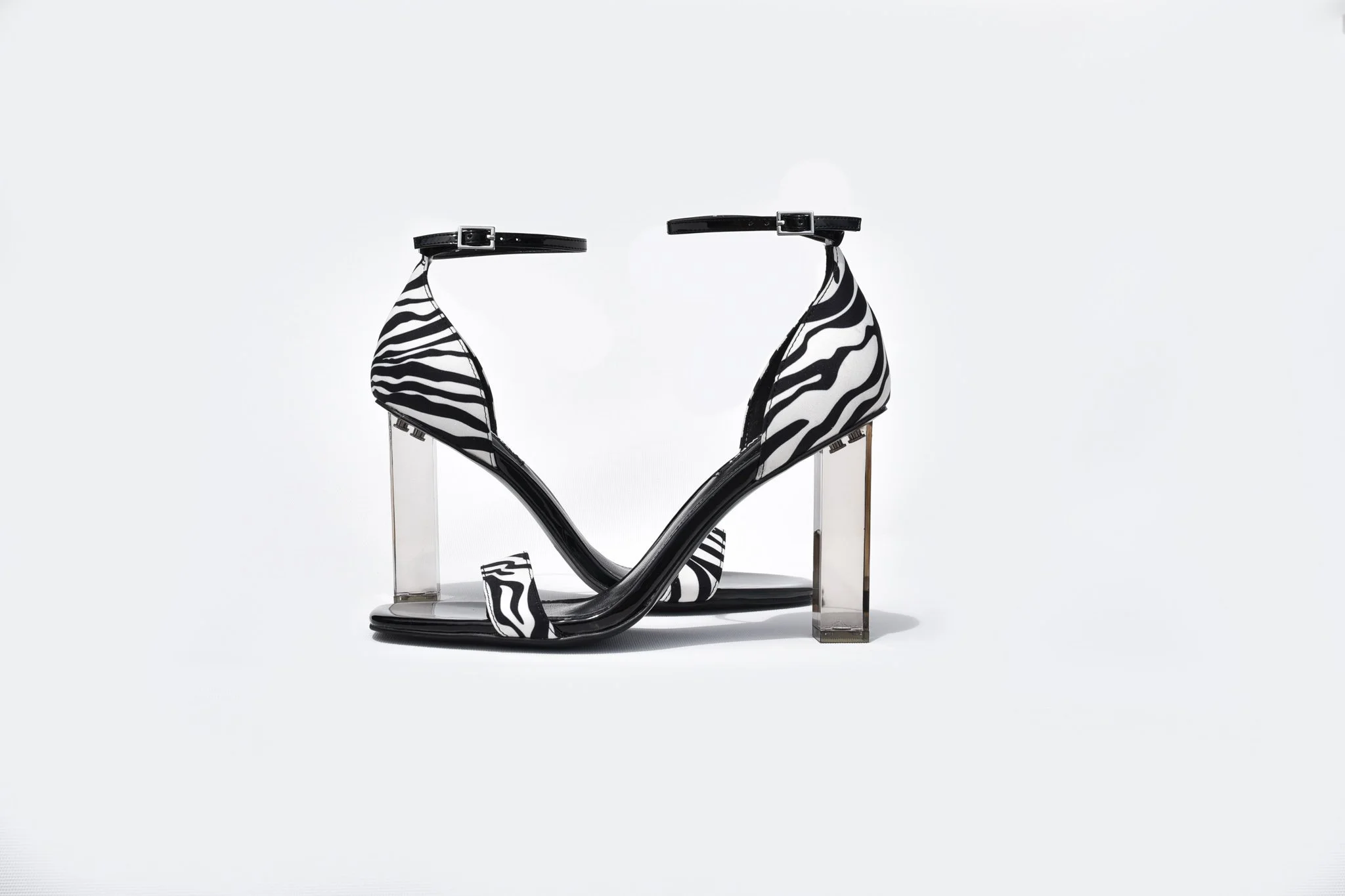 Zariah-Zebra-4.jpg
