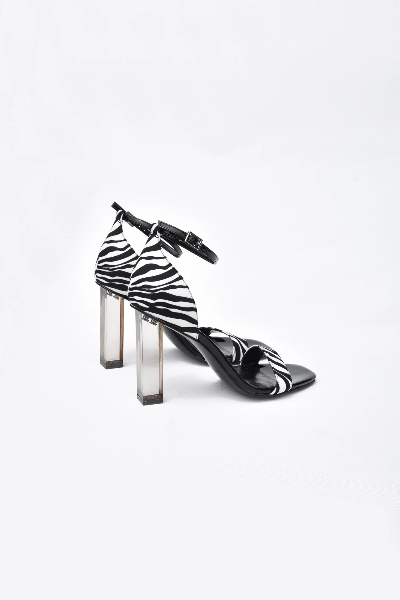 Zariah-Zebra-3.jpg