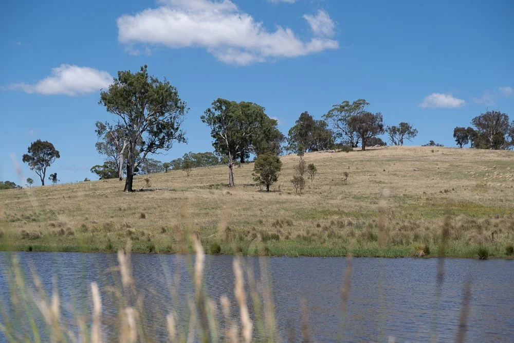 2023 Spring Release — Woodbury Ridge — Sutton NSW