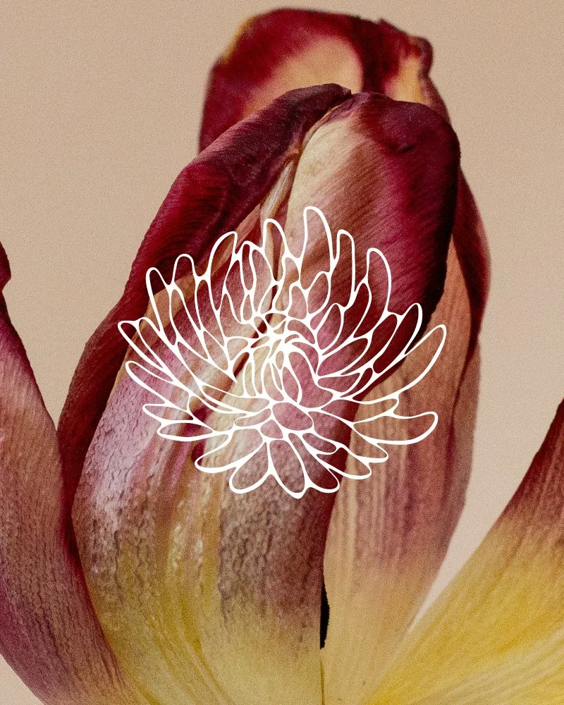 Seaford Flower Studio