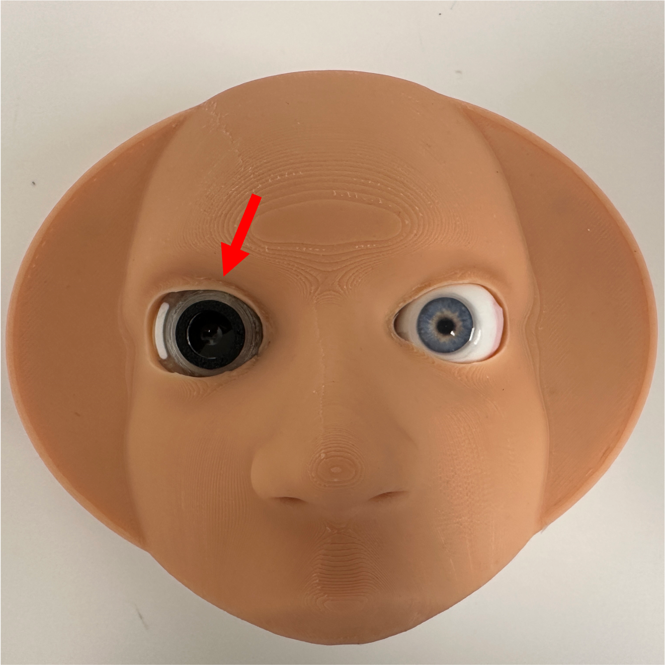 A disassembled doll's face with two eyes, one open and one missing, revealing the socket, on a flat surface.