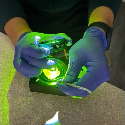 Doctor wearing purple gloves and a black watch preparing a sample under a green light in a laboratory setting.