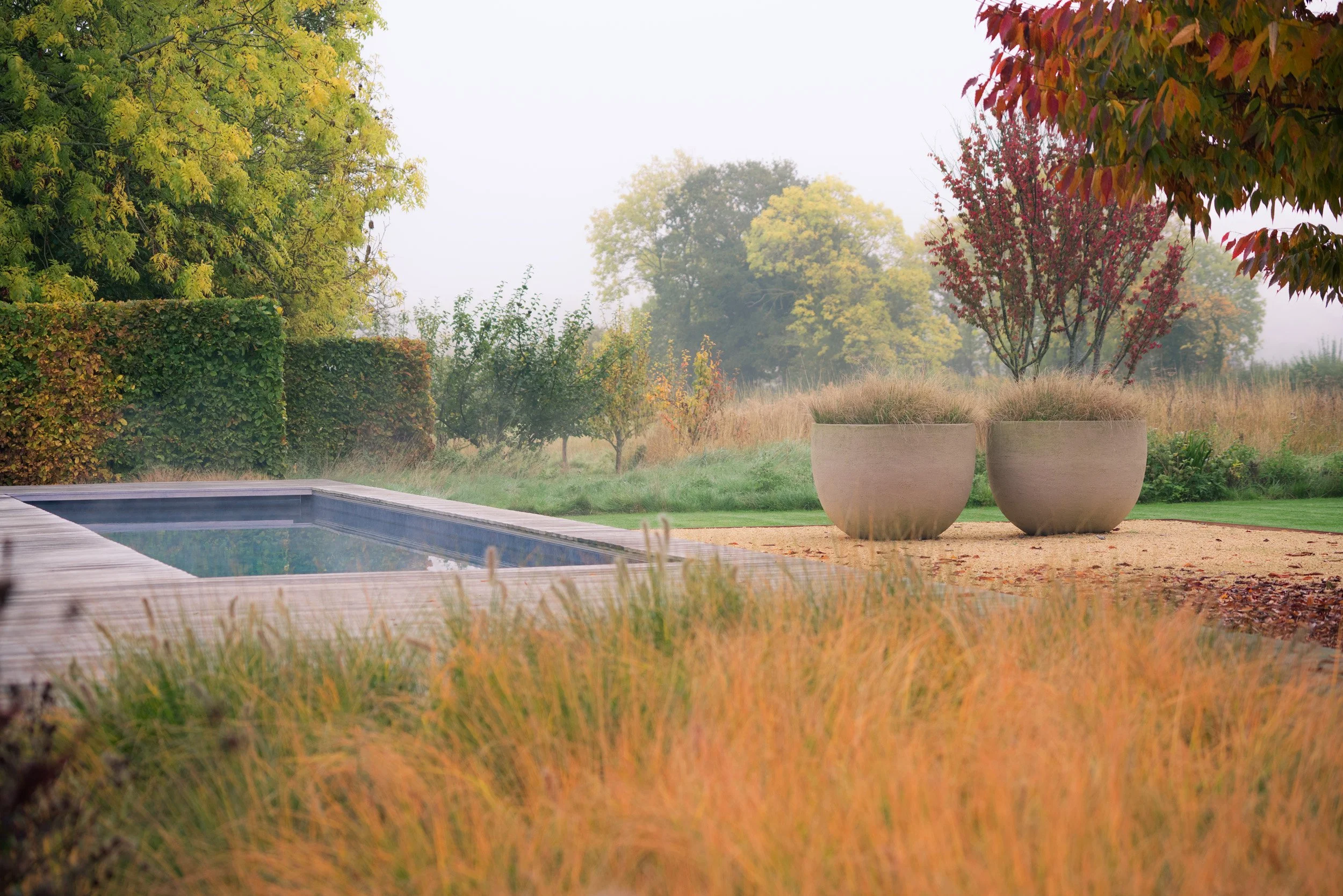 2500 pxls wide_AUTUMN edited-4.jpg