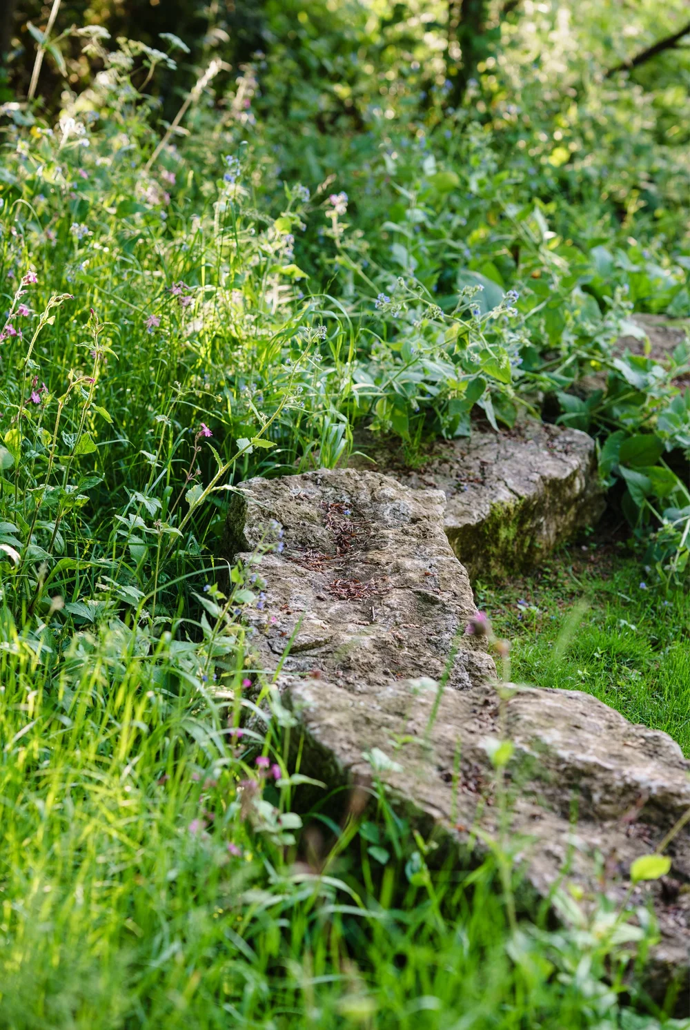 Rookwood, Buckinghamshire — Angus Thompson