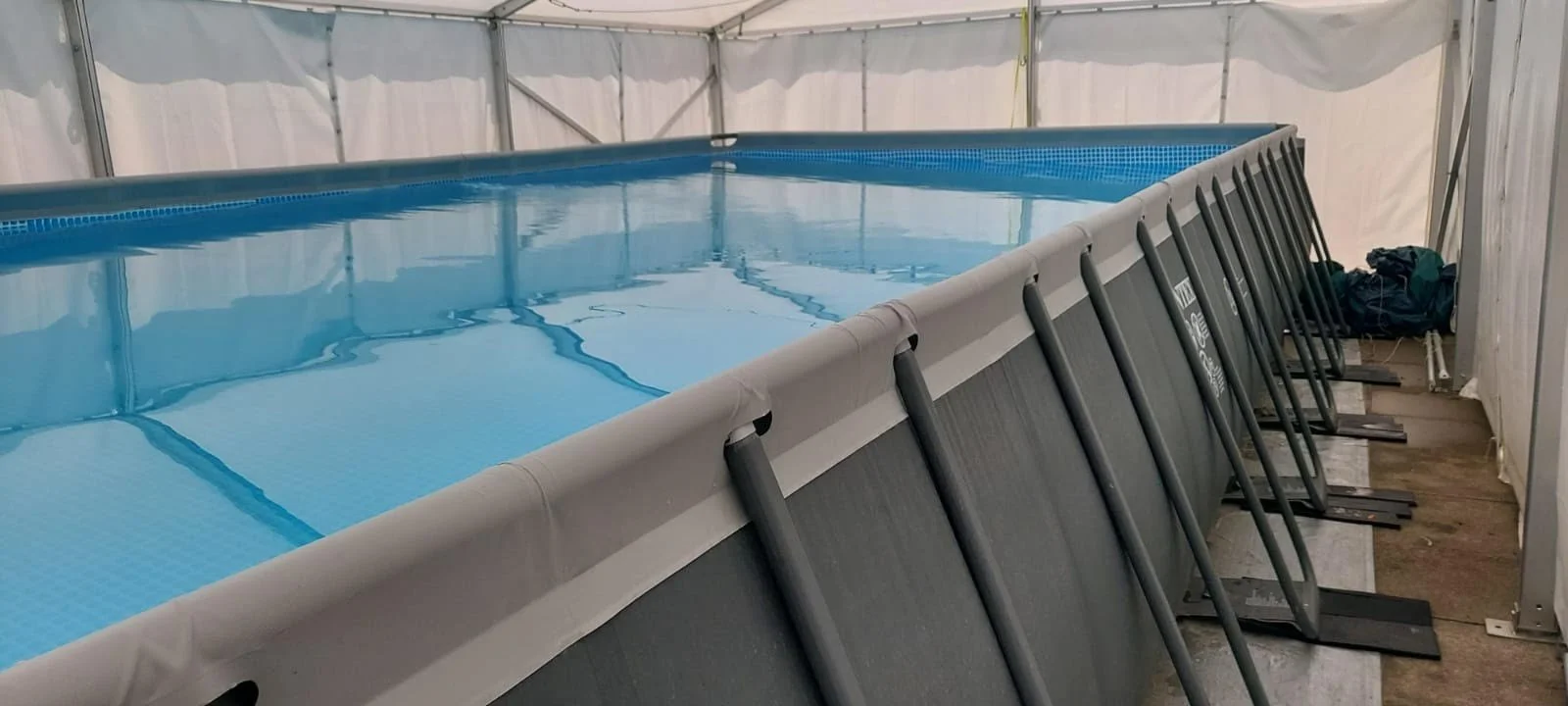 swim 4.jpg