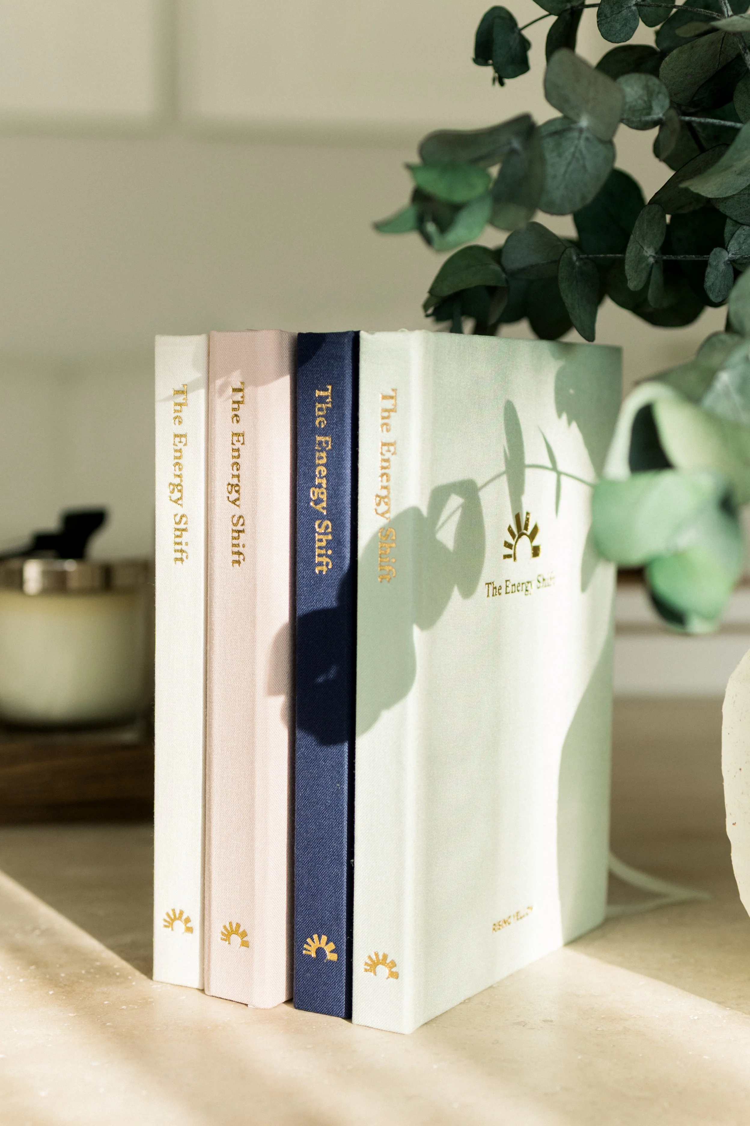 The Energy Shift Journal