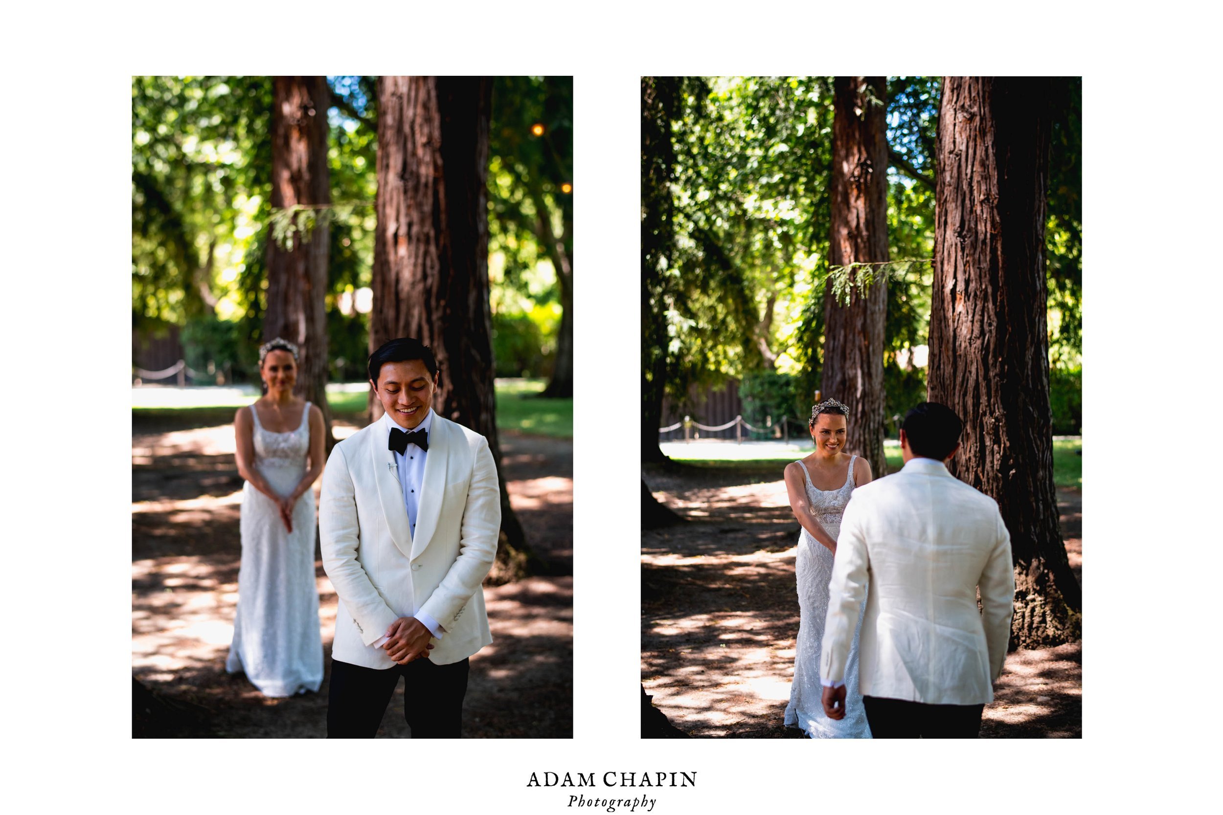 bride and groom's first look amidst the trees