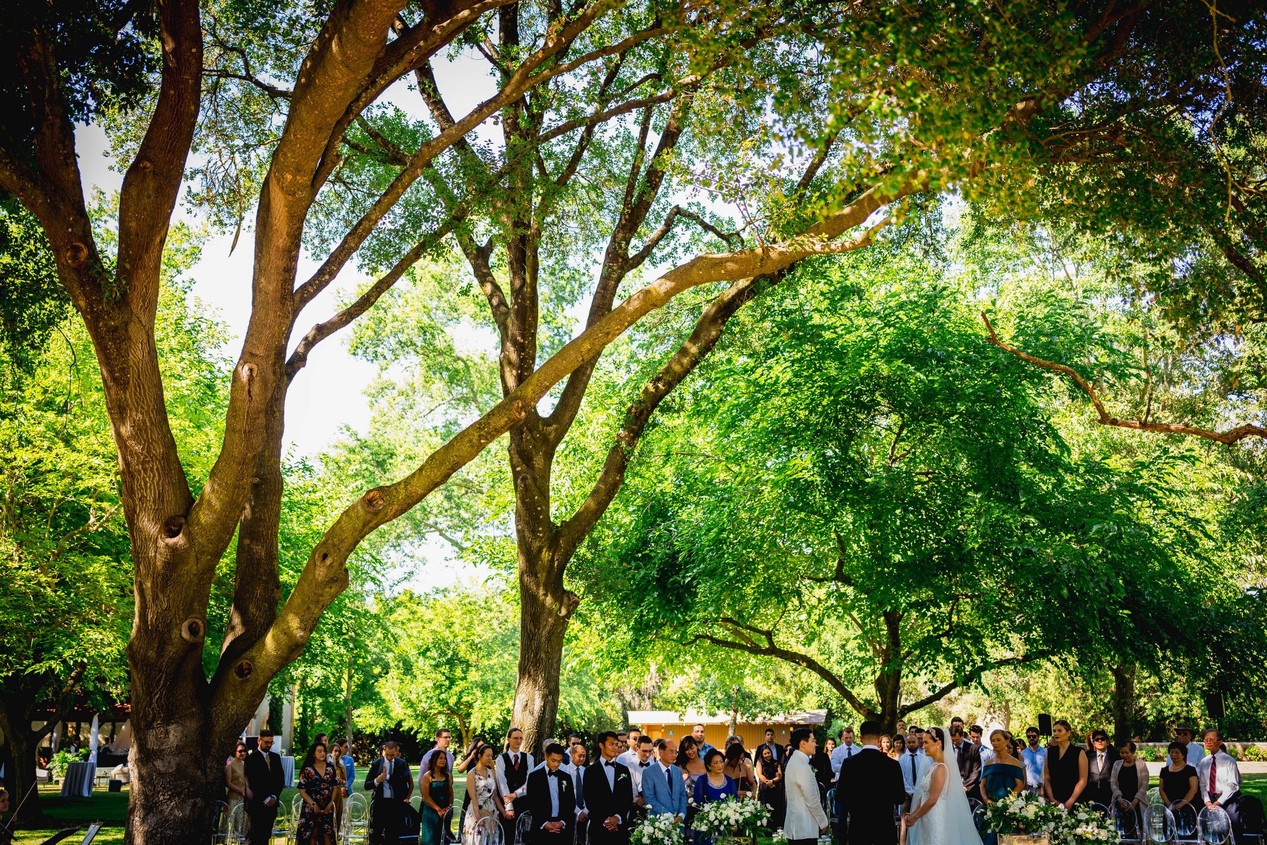 bride and groom standing before their wedding guests underneath the trees