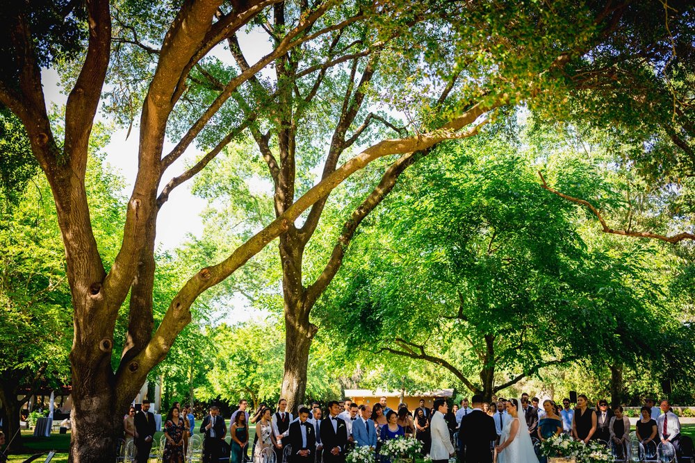 bride and groom standing before their wedding guests underneath the trees