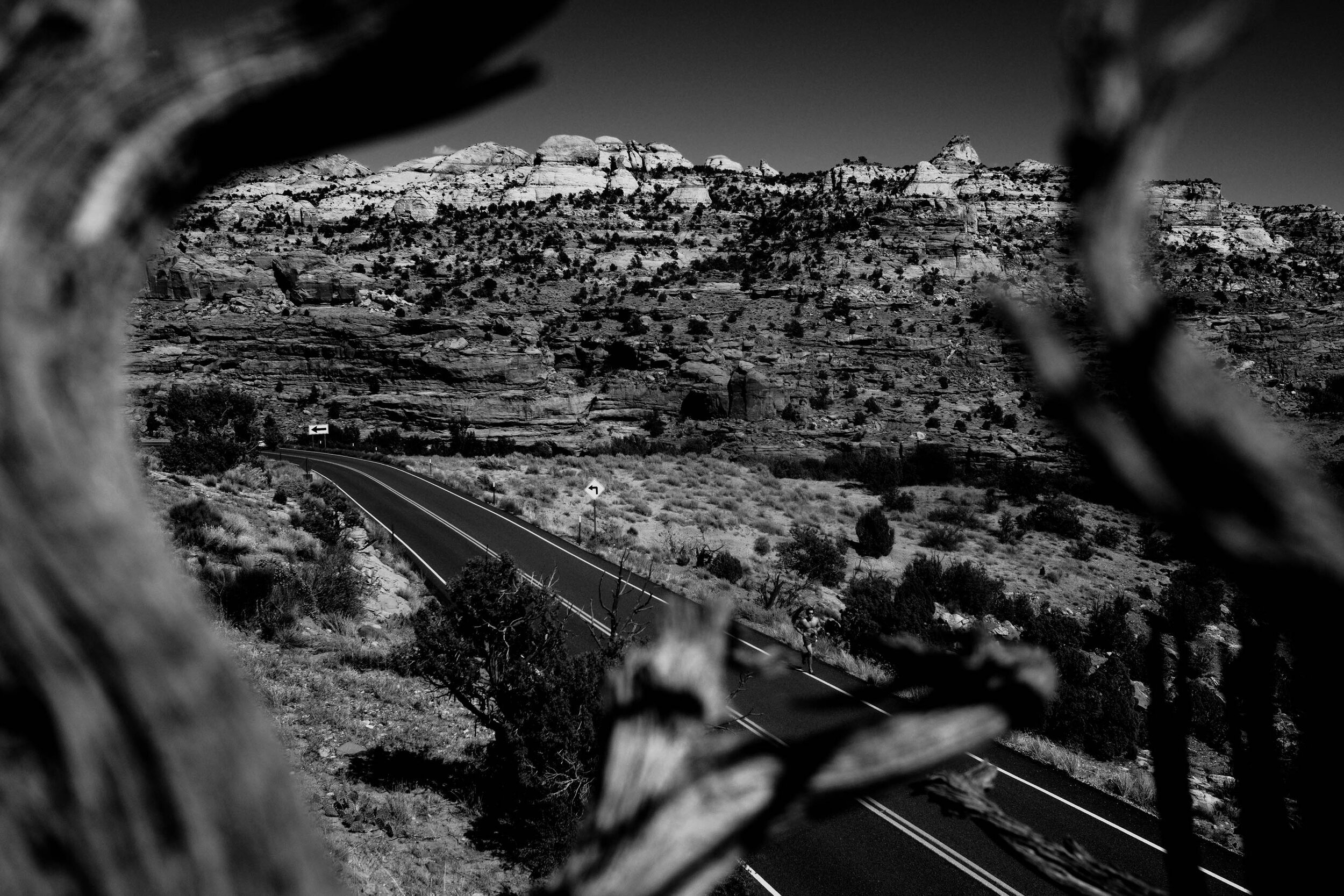 a tree branch frames part of route 12 as it cuts through southern Utah
