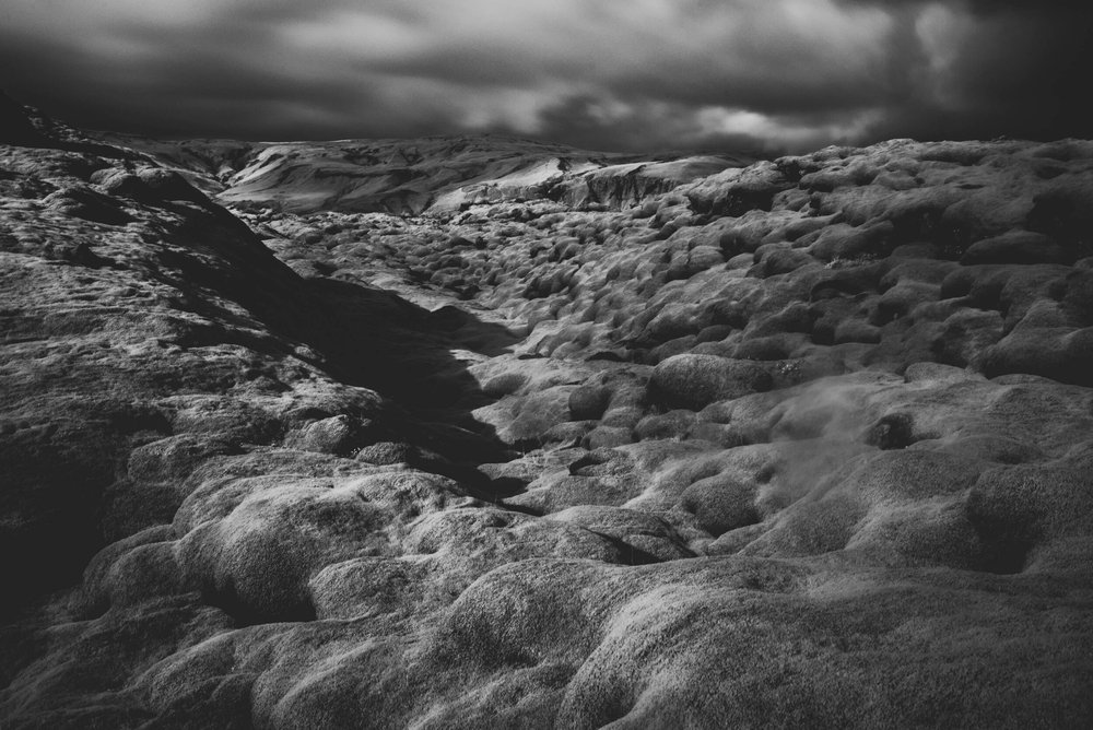 a black and white photo of the moss fields outside Vik Iceland