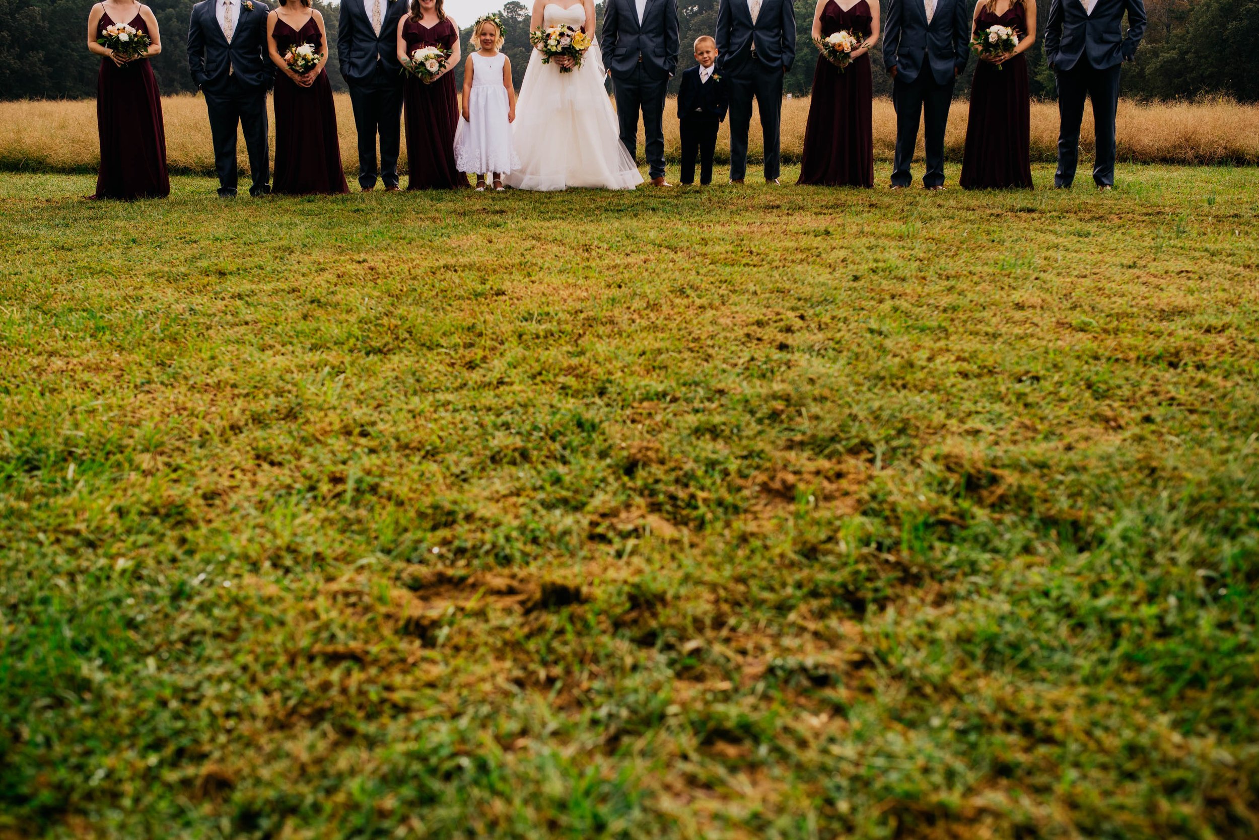 a cropped photo of the entire wedding party to show the flower girl and the ring bearer