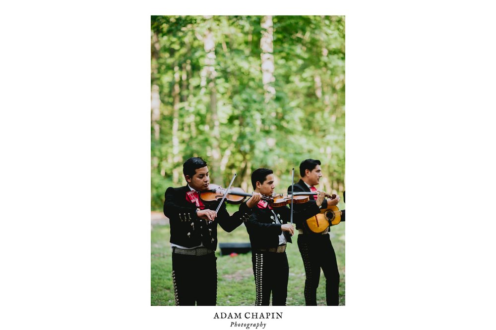 mariachi playing during wedding reception