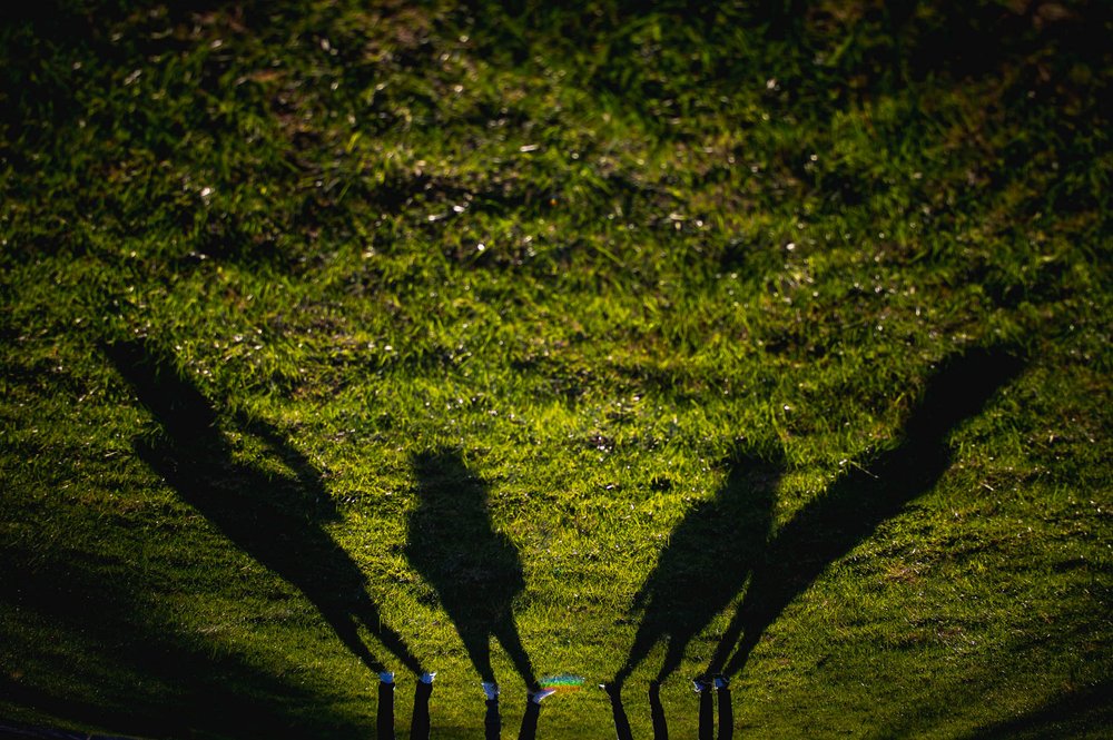 shadows of family stretch out across the grass
