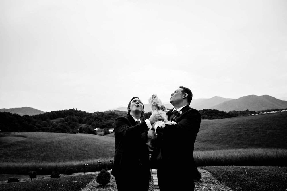 two grooms howl with their terrier after their wedding