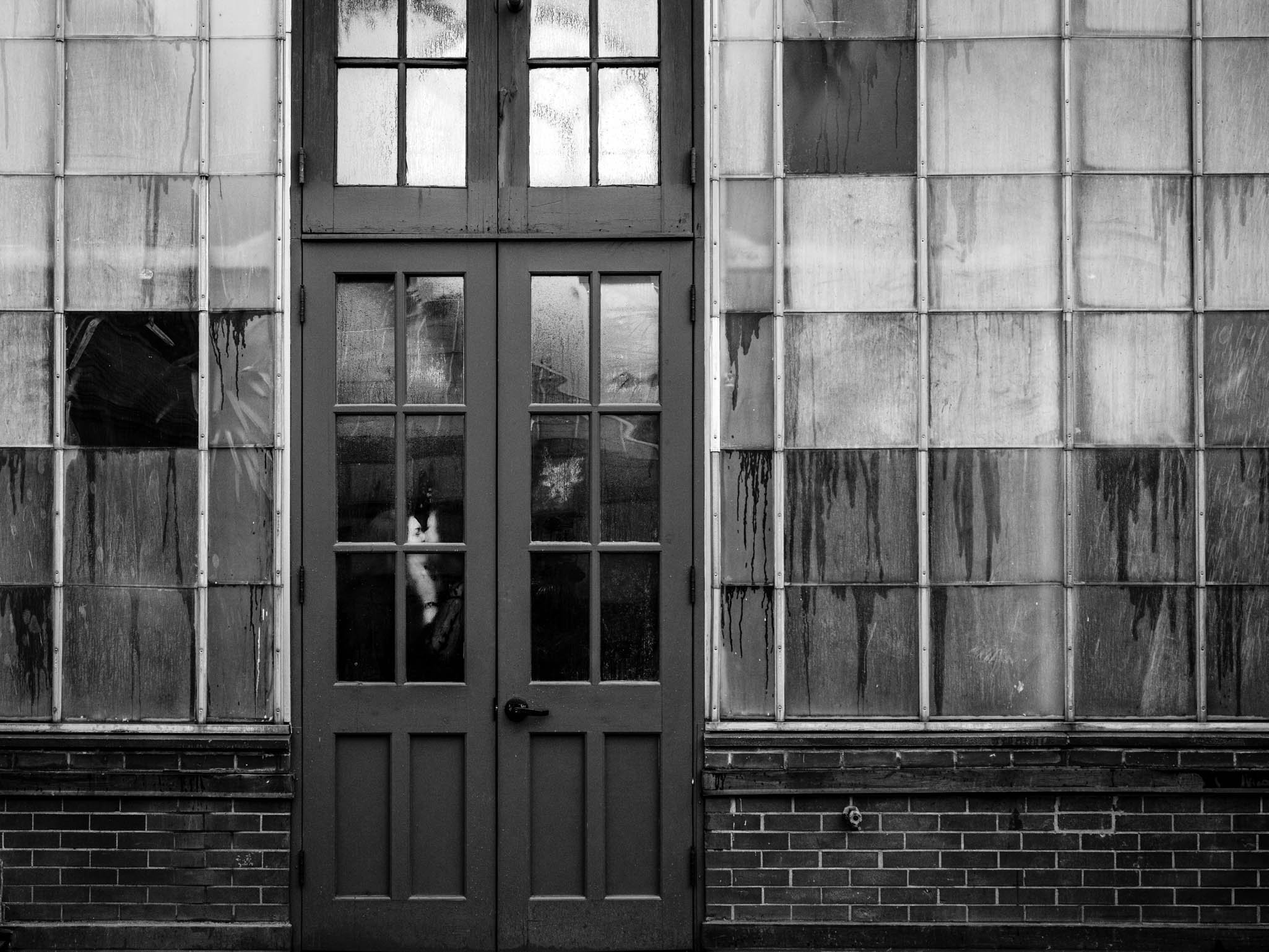 couple kissing behind the foggy doors of the Biltmore house gardens greenhouse