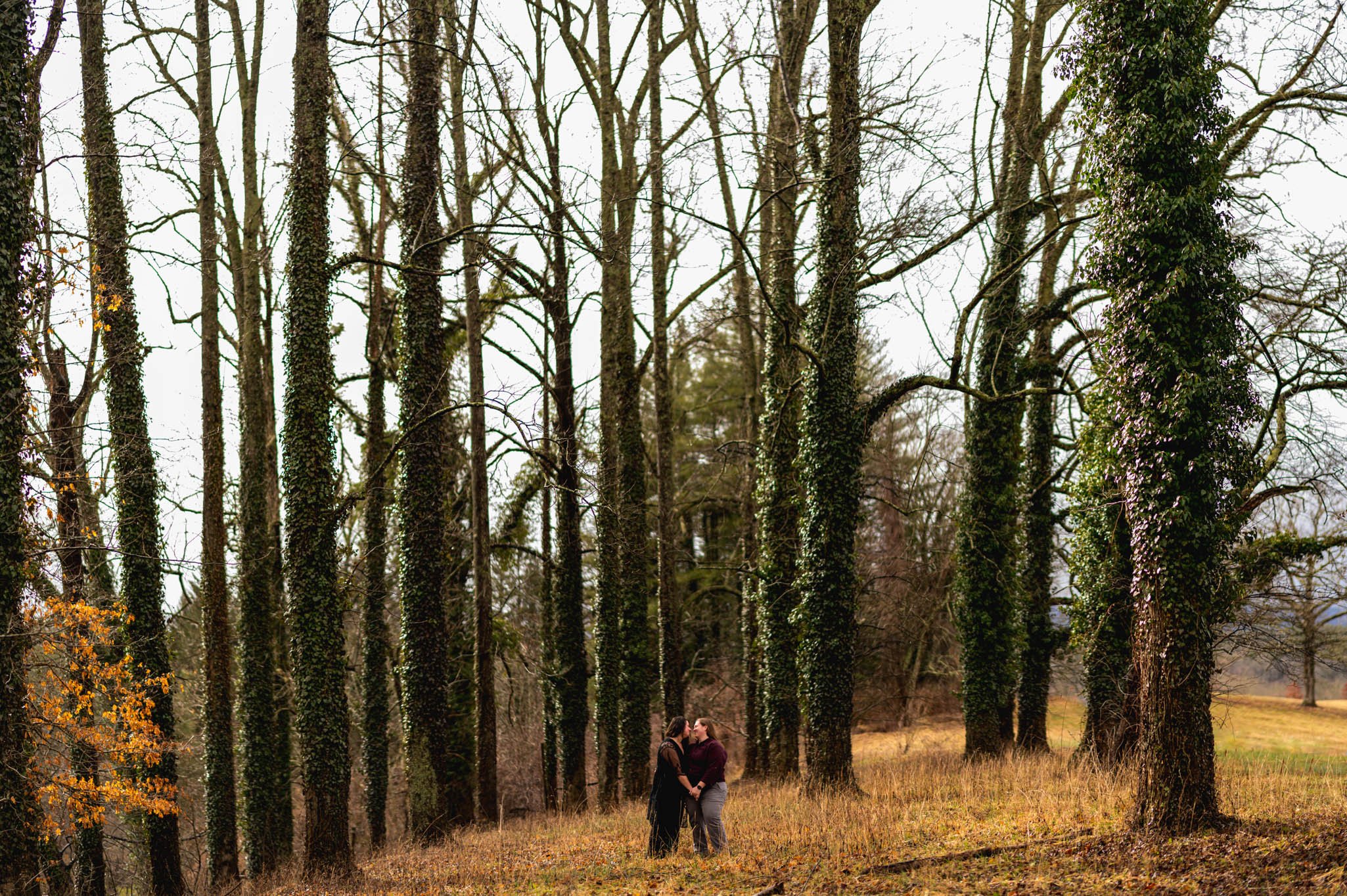 couple holding each other in the woods on the Biltmore property 