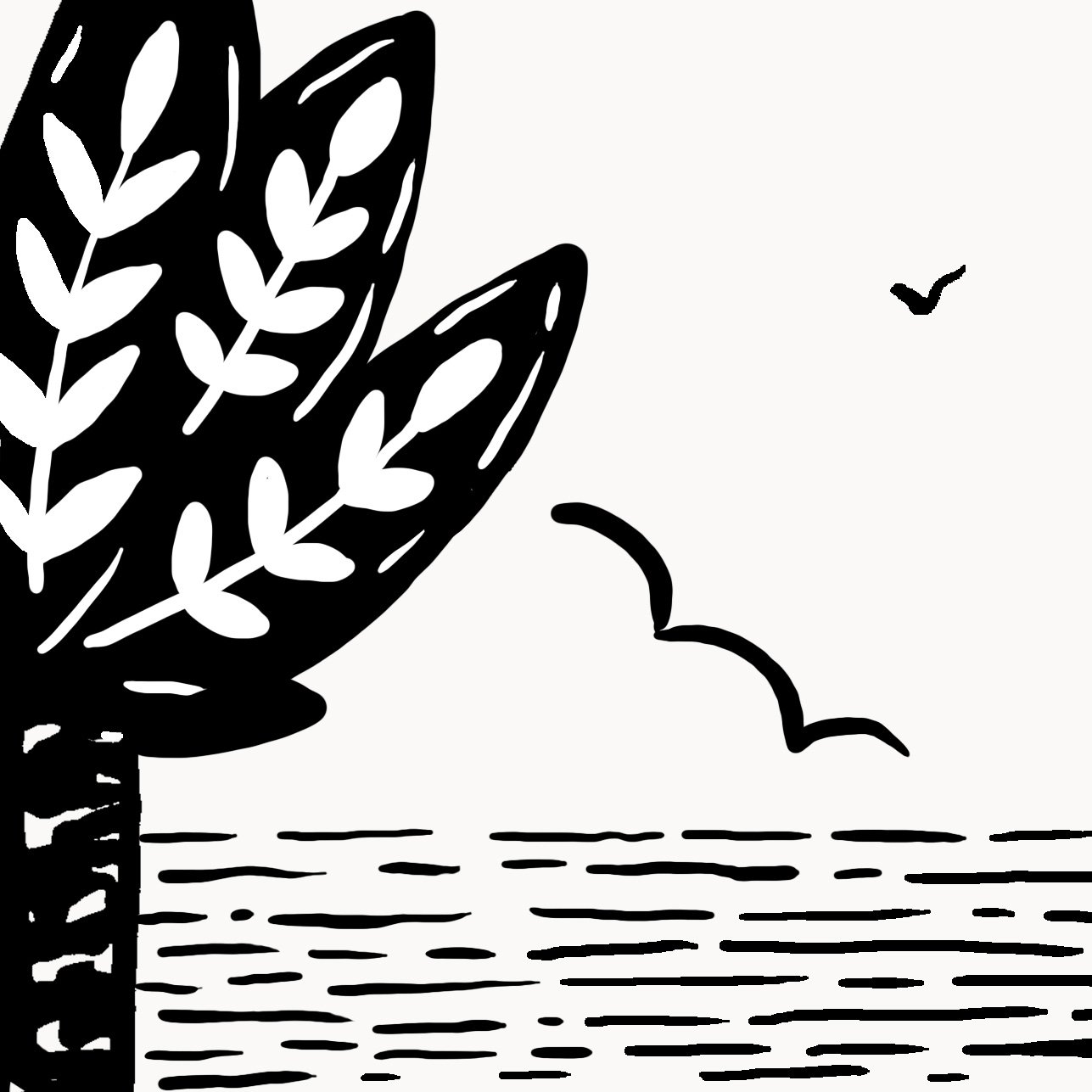Une illustration en noir et blanc d'un arbre au bord de l'eau avec des oiseaux volant au-dessus créée par Camille Tardif