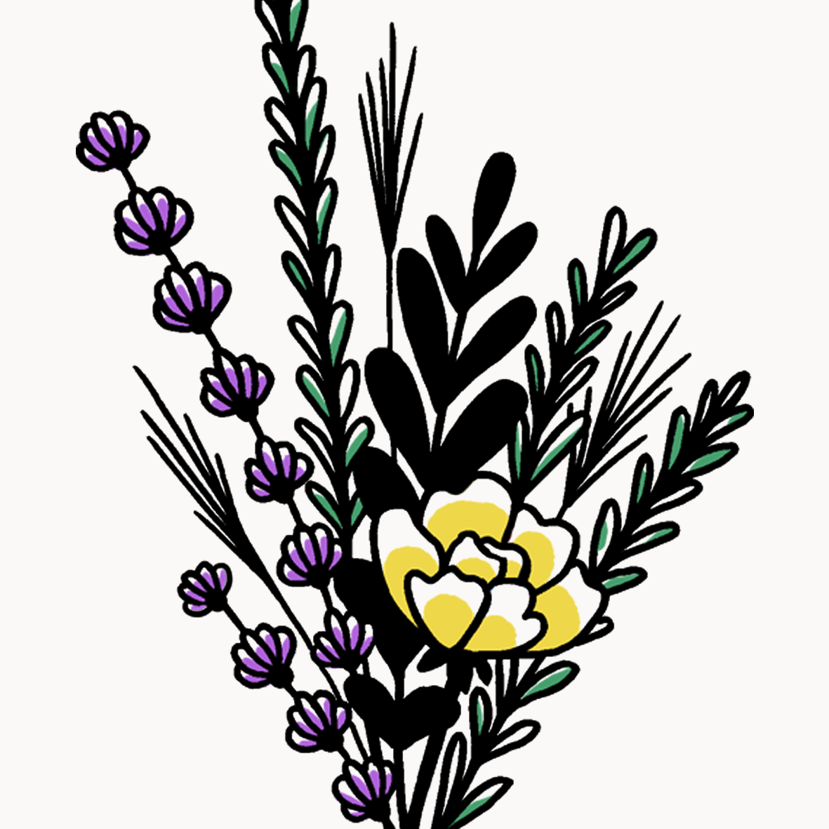 Flash_Catalogue_236c.png