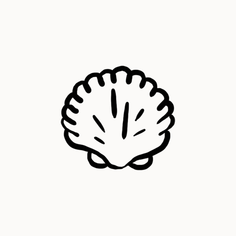 Croquis simple d'une coquille de mer ou d'un coquillage.