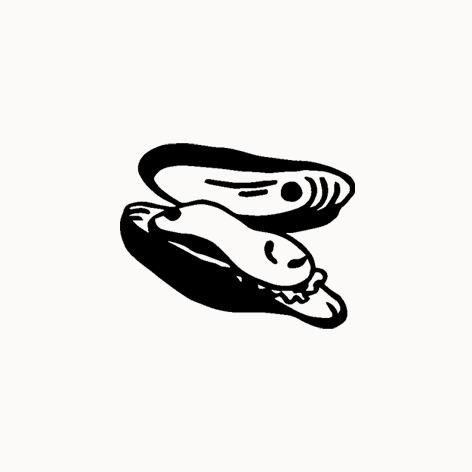 Une illustration stylisée d'un crocodile ou d'un alligator en noir et blanc.