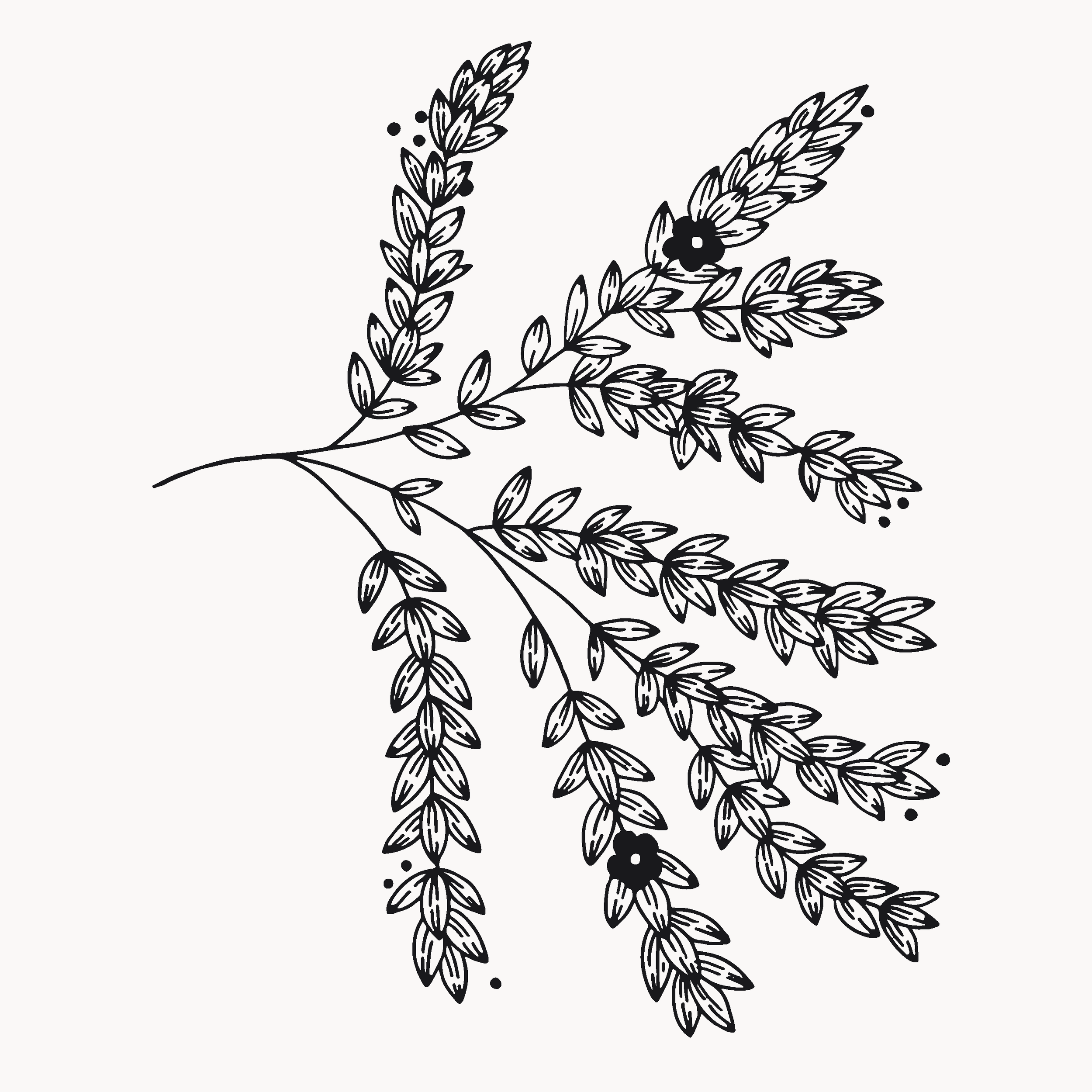 Un grand projet floral de tatouage pour le dos dessiné par Camille Tardif