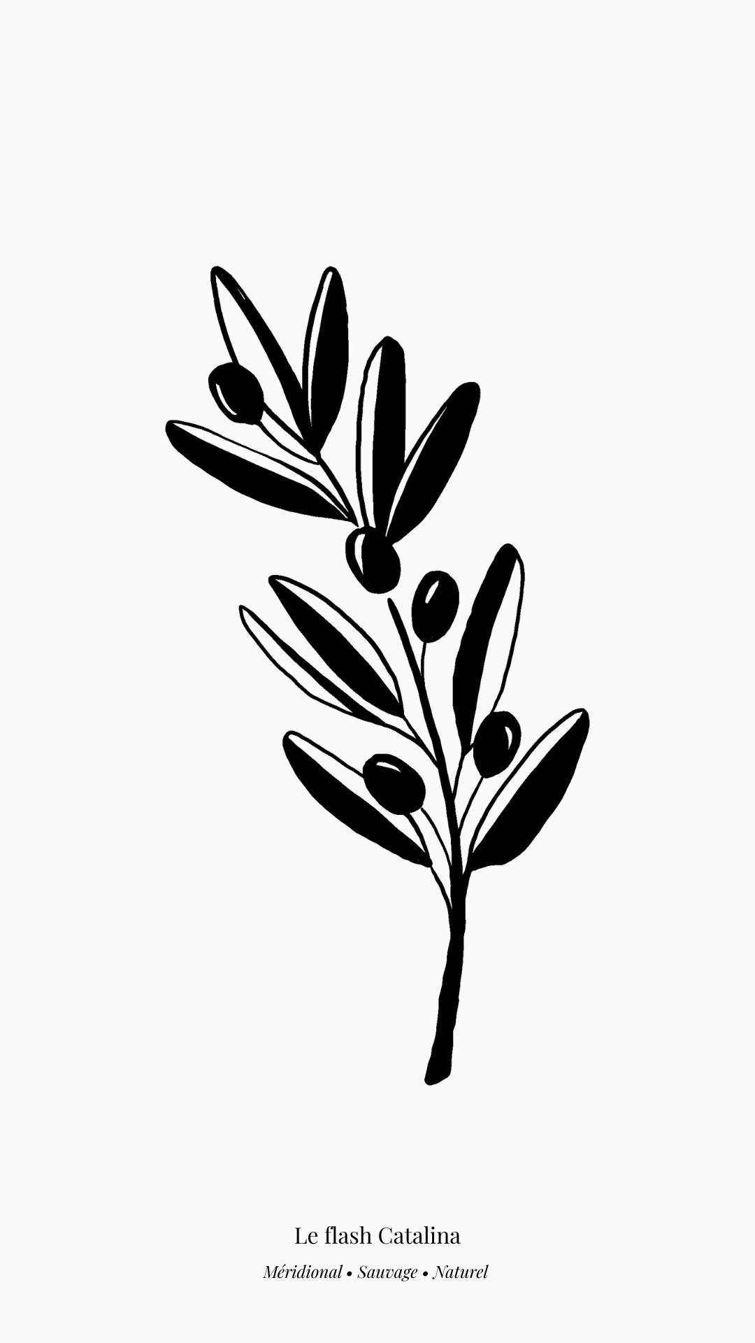 Le flash Catalina / Entre 12 et 20 cm / Entre 270 et 330 €