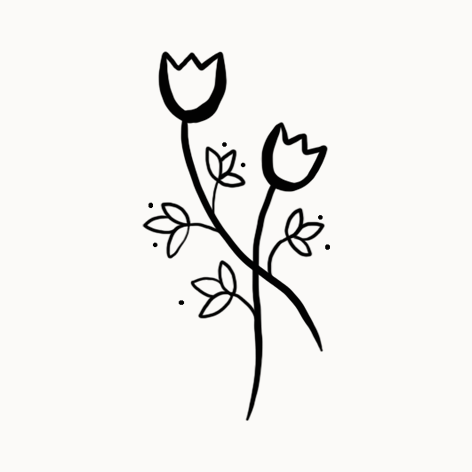 Dessin minimaliste de deux fleurs tulipes avec feuilles.