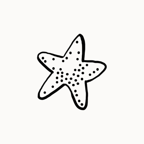 Étoile de mer dessinée avec des points et une ligne de contour noir.