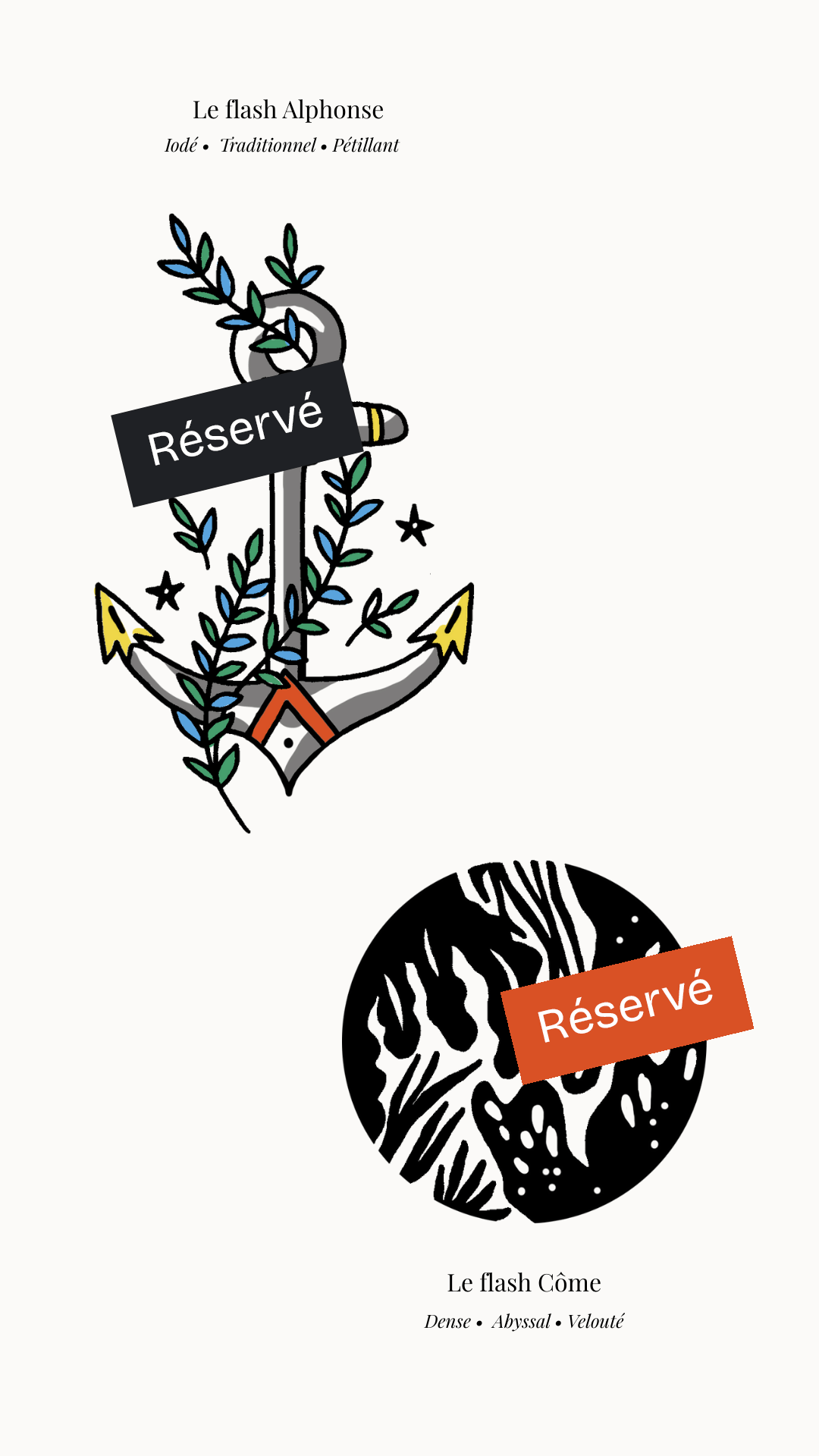 Un flash tattoo d'ancre et d'algues dessiné par Camille Tardif