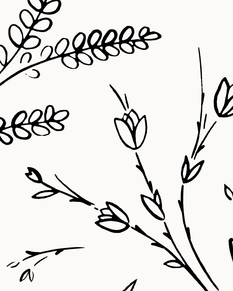 Un grand projet floral de tatouage pour le dos dessiné par Camille Tardif