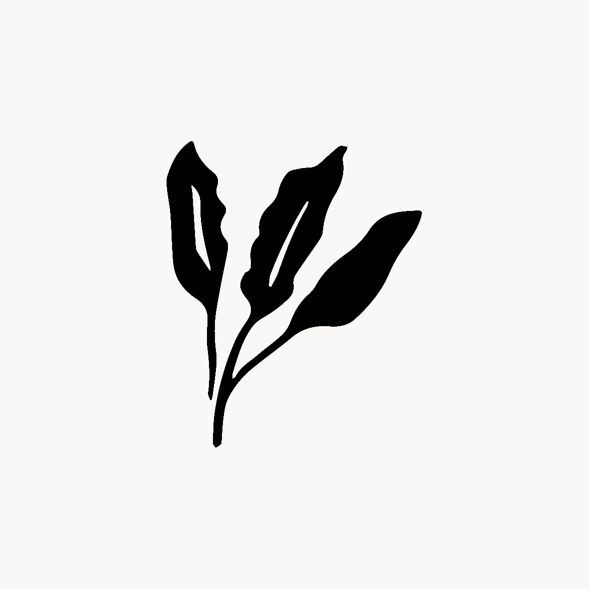 n°160 • Entre 4 et 8 cm = 130 €