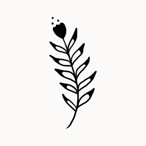 Une illustration d'une branche avec des feuilles, une feuille en forme de cœur en haut, en noir sur fond blanc.