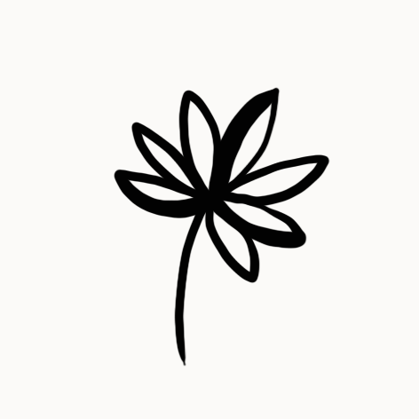 Dessin d'une fleur avec des pétales extérieurs en forme d'ellipses et des pétales intérieurs plus pointus, en noir sur fond blanc.