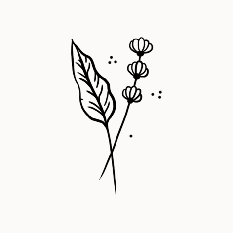 Dessin en noir et blanc d'une feuille et de petites fleurs assemblées sur une tige