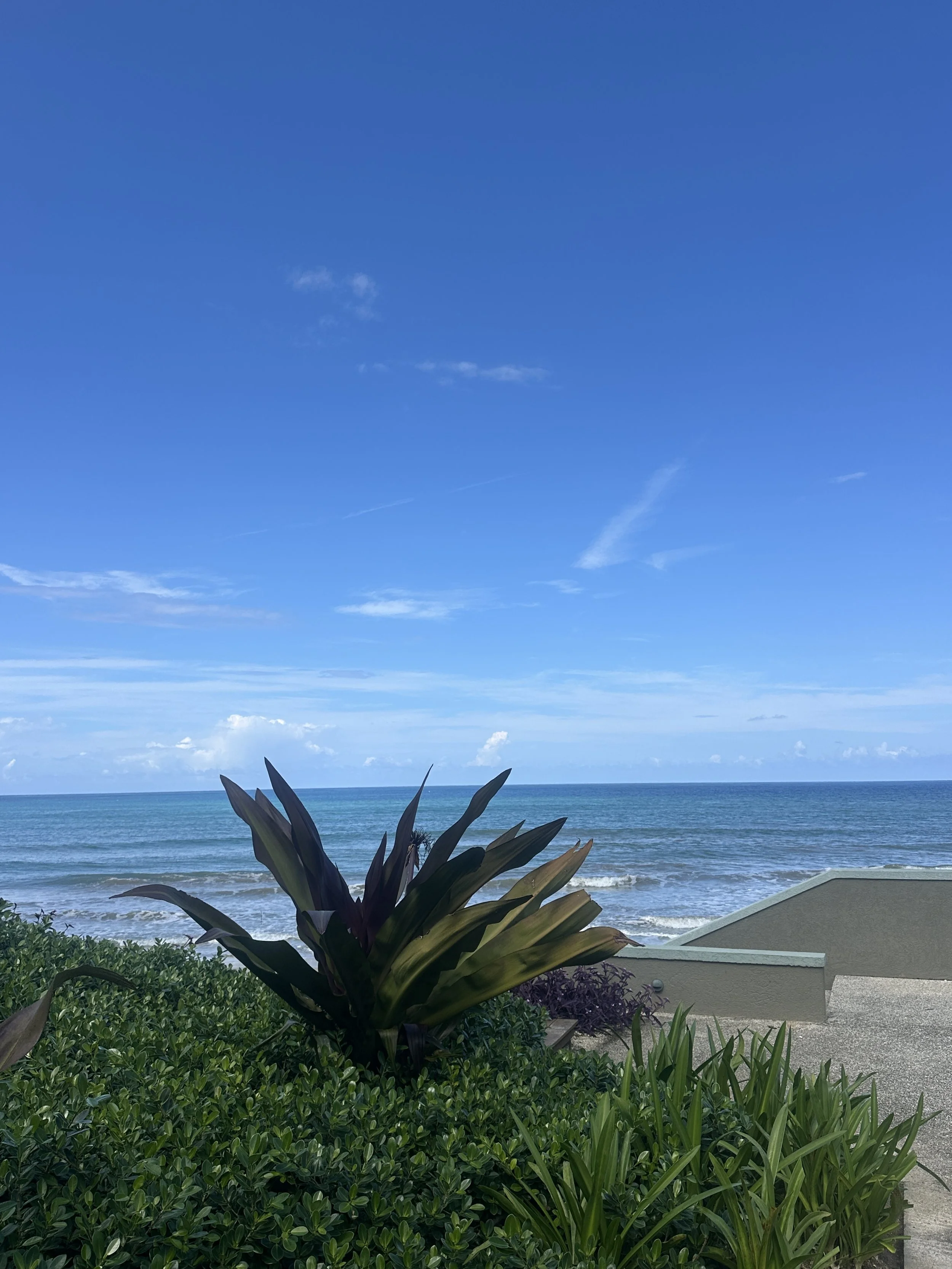 “Taking a pause..”