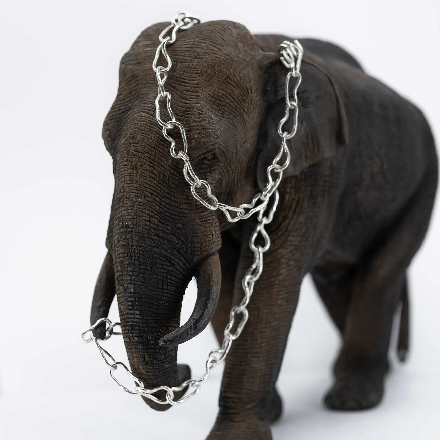 ANIMA CHA • # 102501