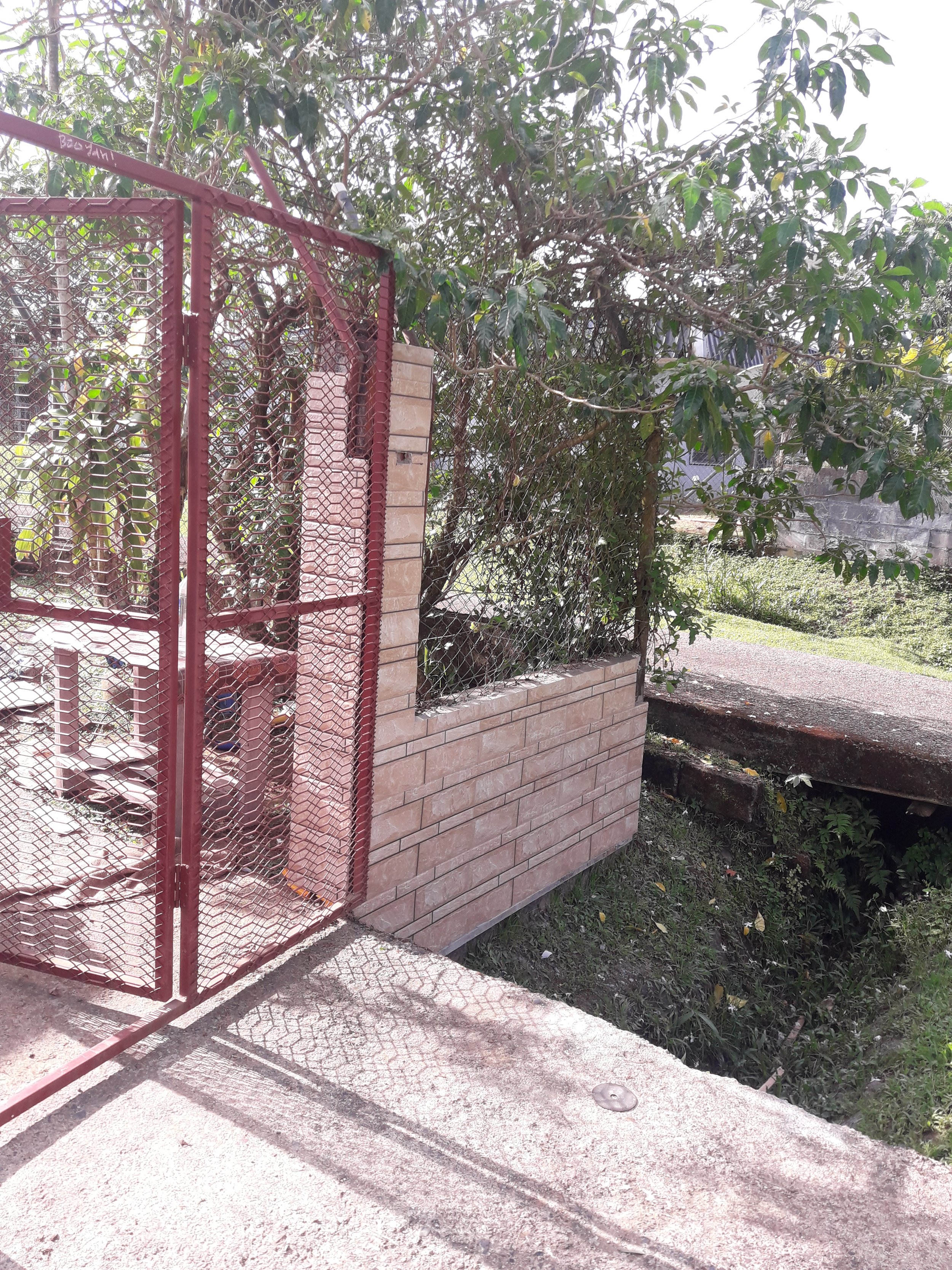 20191002_154137.jpg