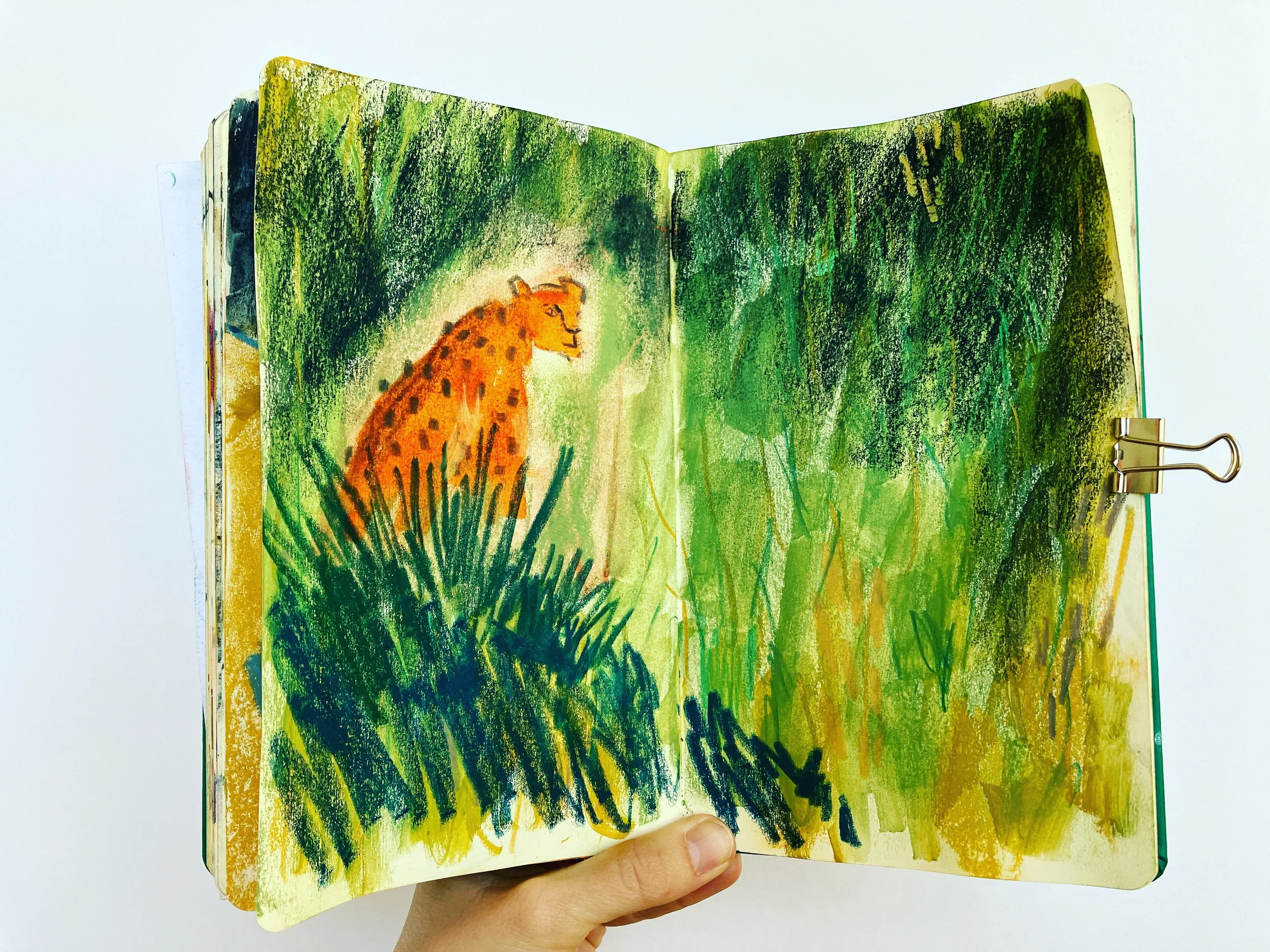 cheetah in the jungle_72.jpg