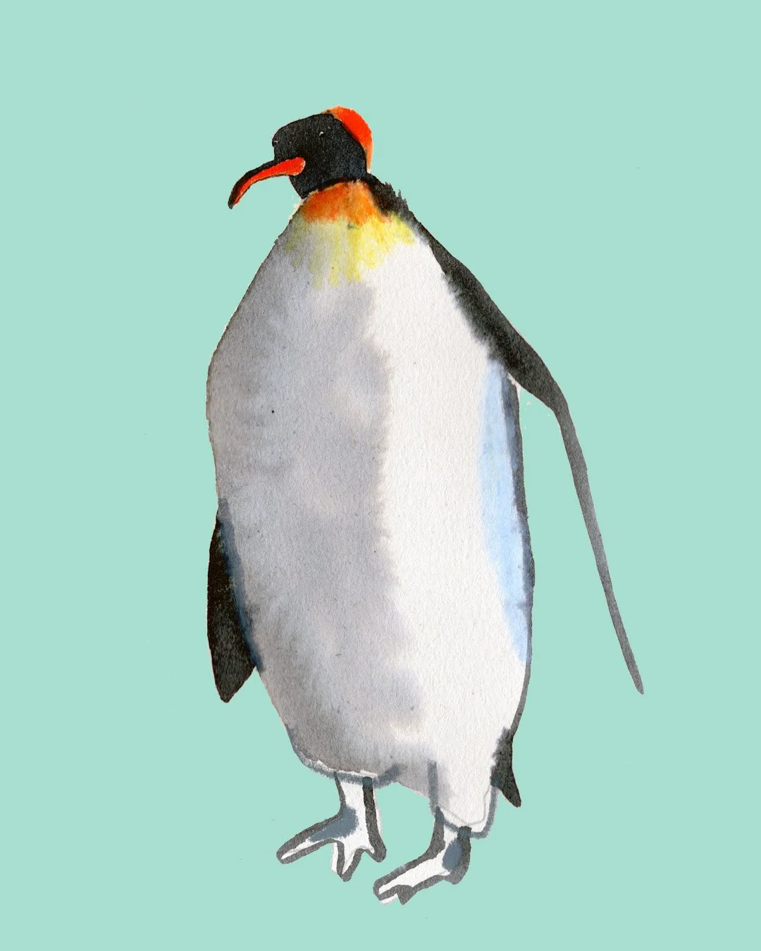 penguin for insta.jpg
